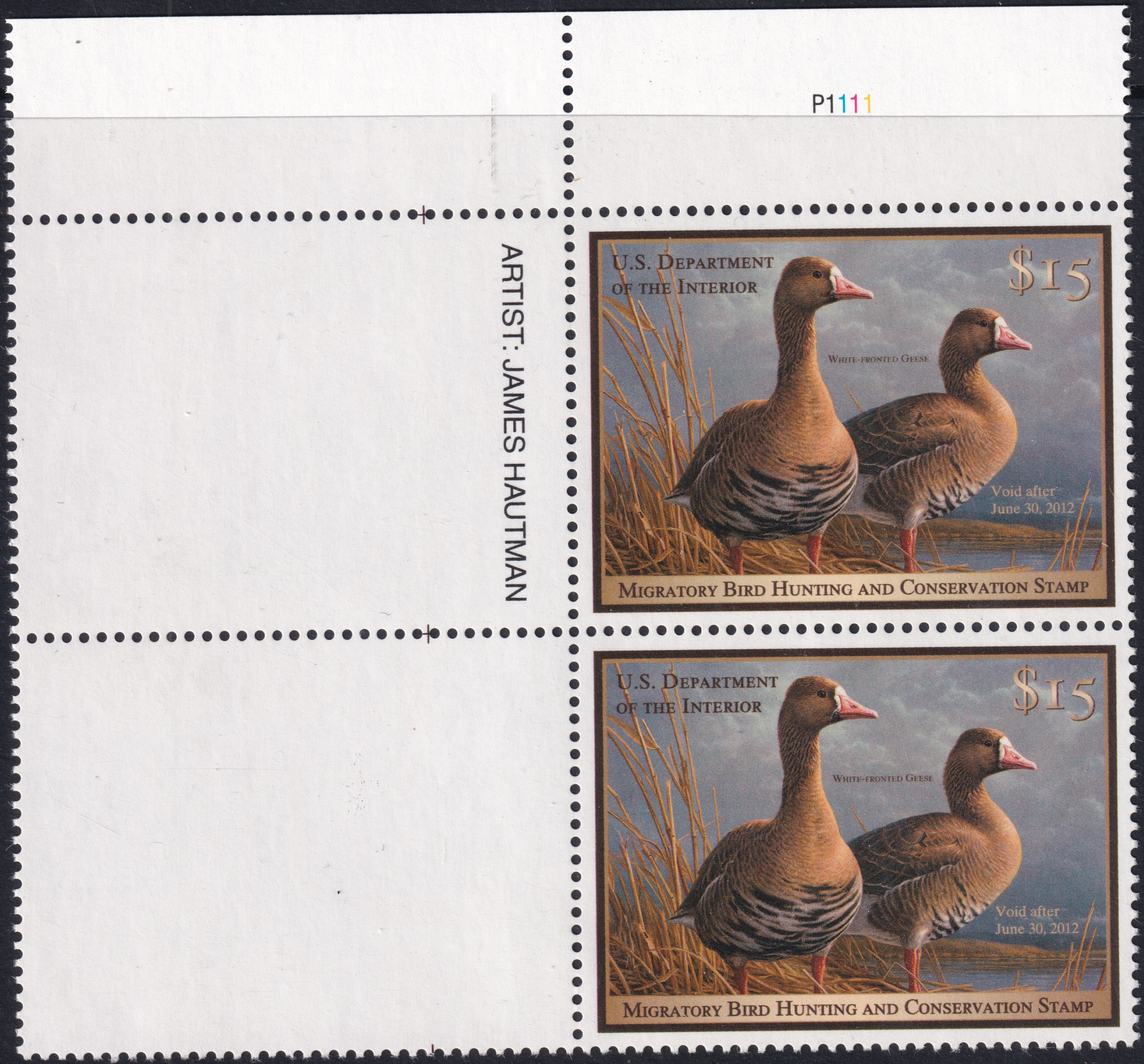 Stamp Picture
