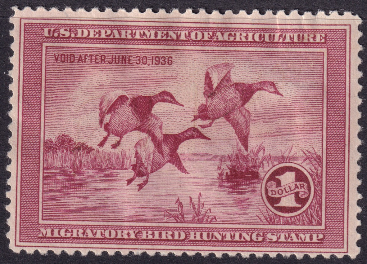 Stamp Picture