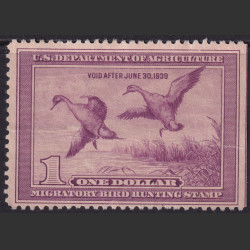 Picture of Lot #55642