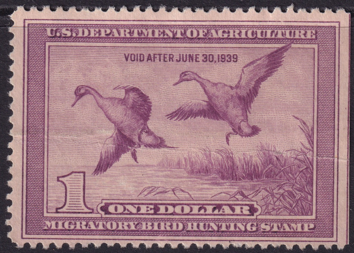Stamp Picture