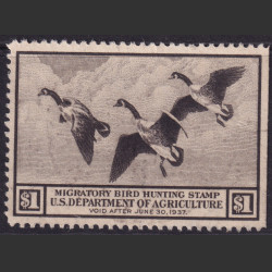 Picture of Lot #55643