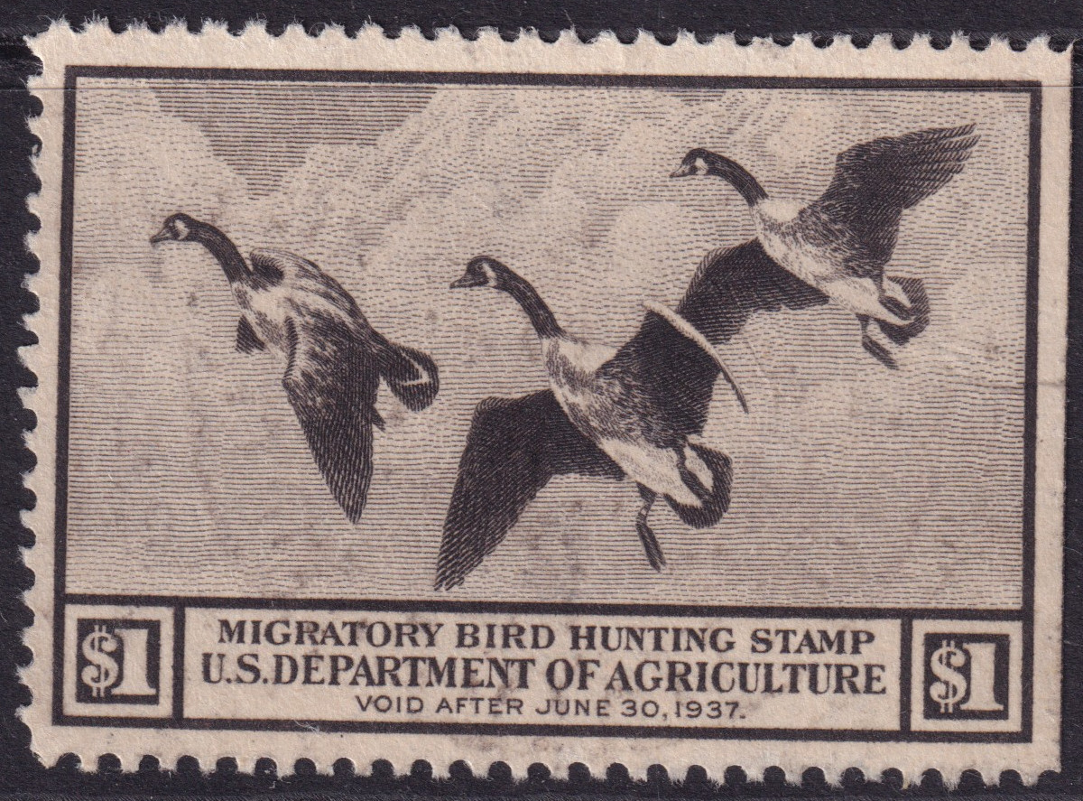 Stamp Picture
