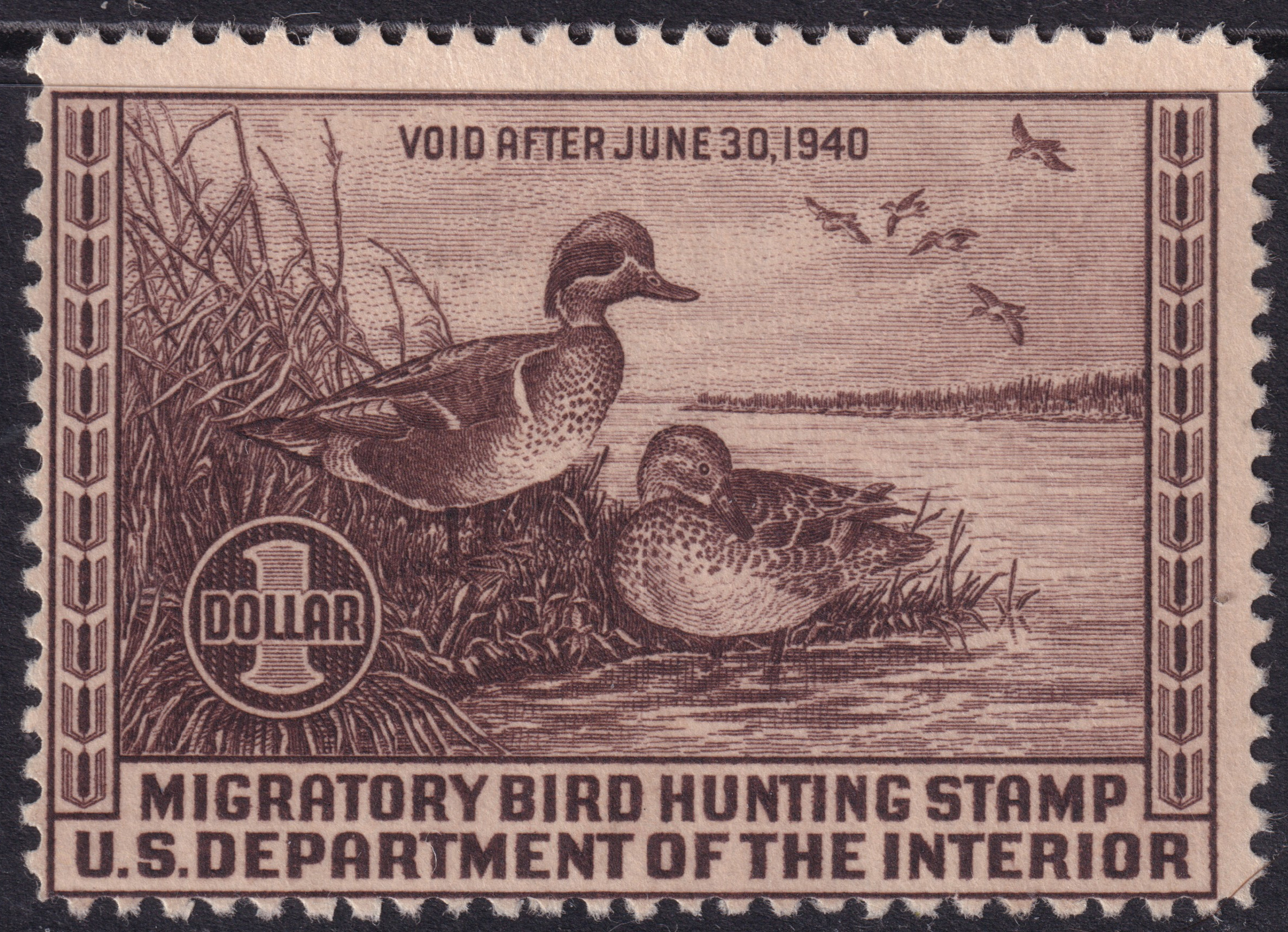 Stamp Picture