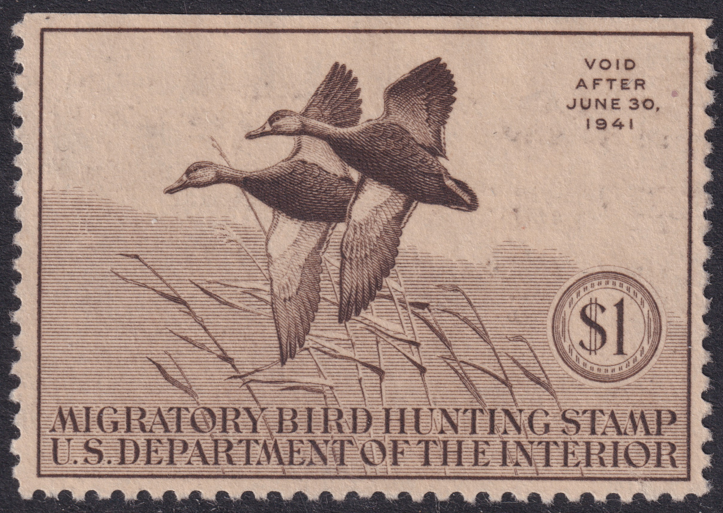 Stamp Picture
