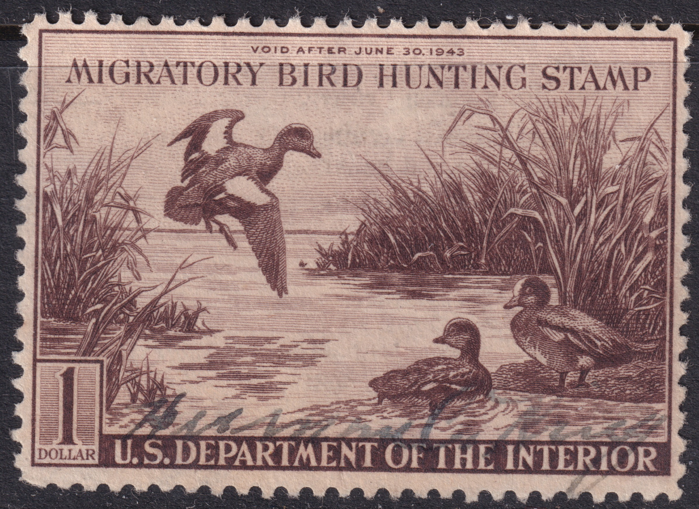 Stamp Picture