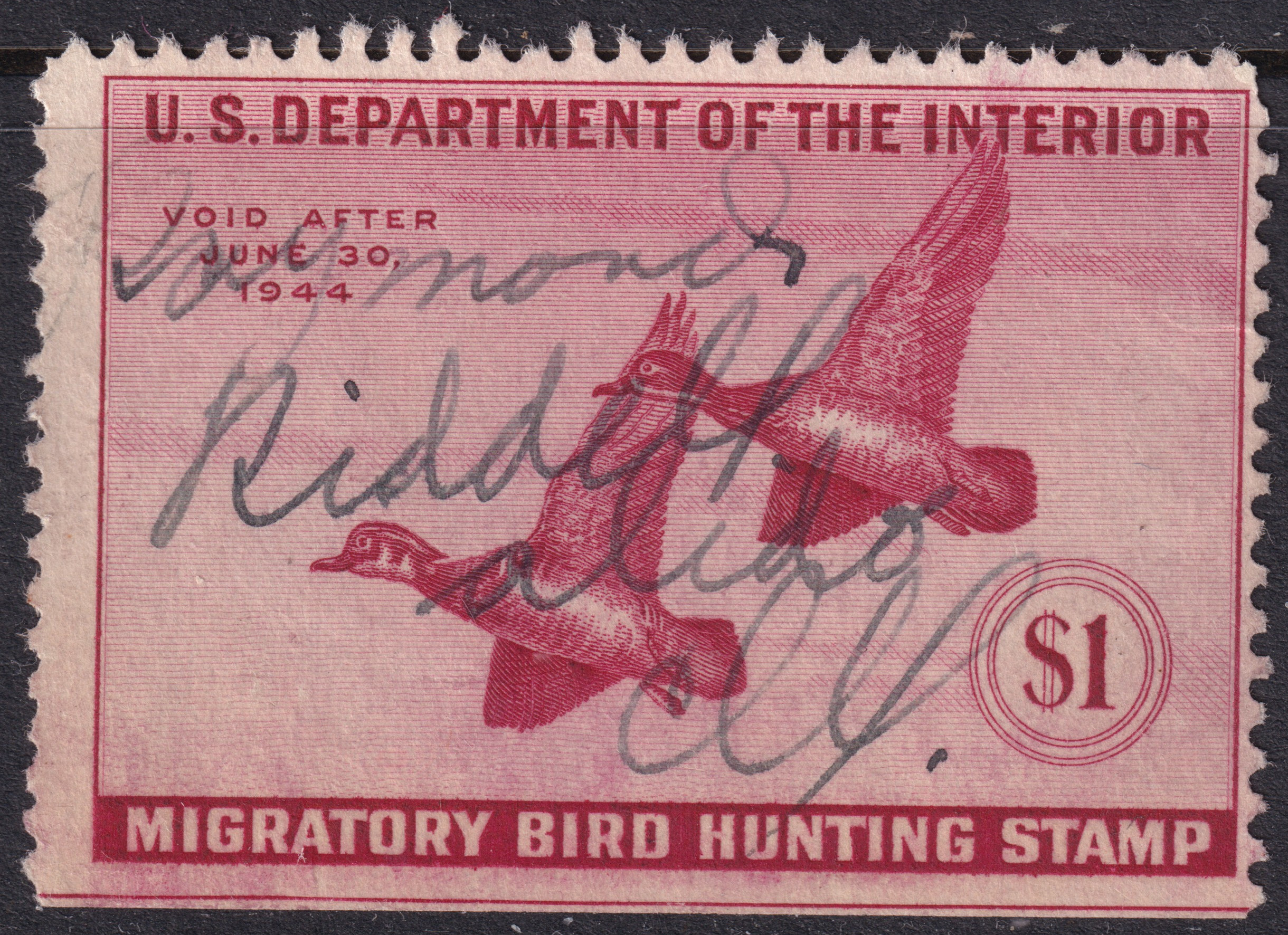 Stamp Picture