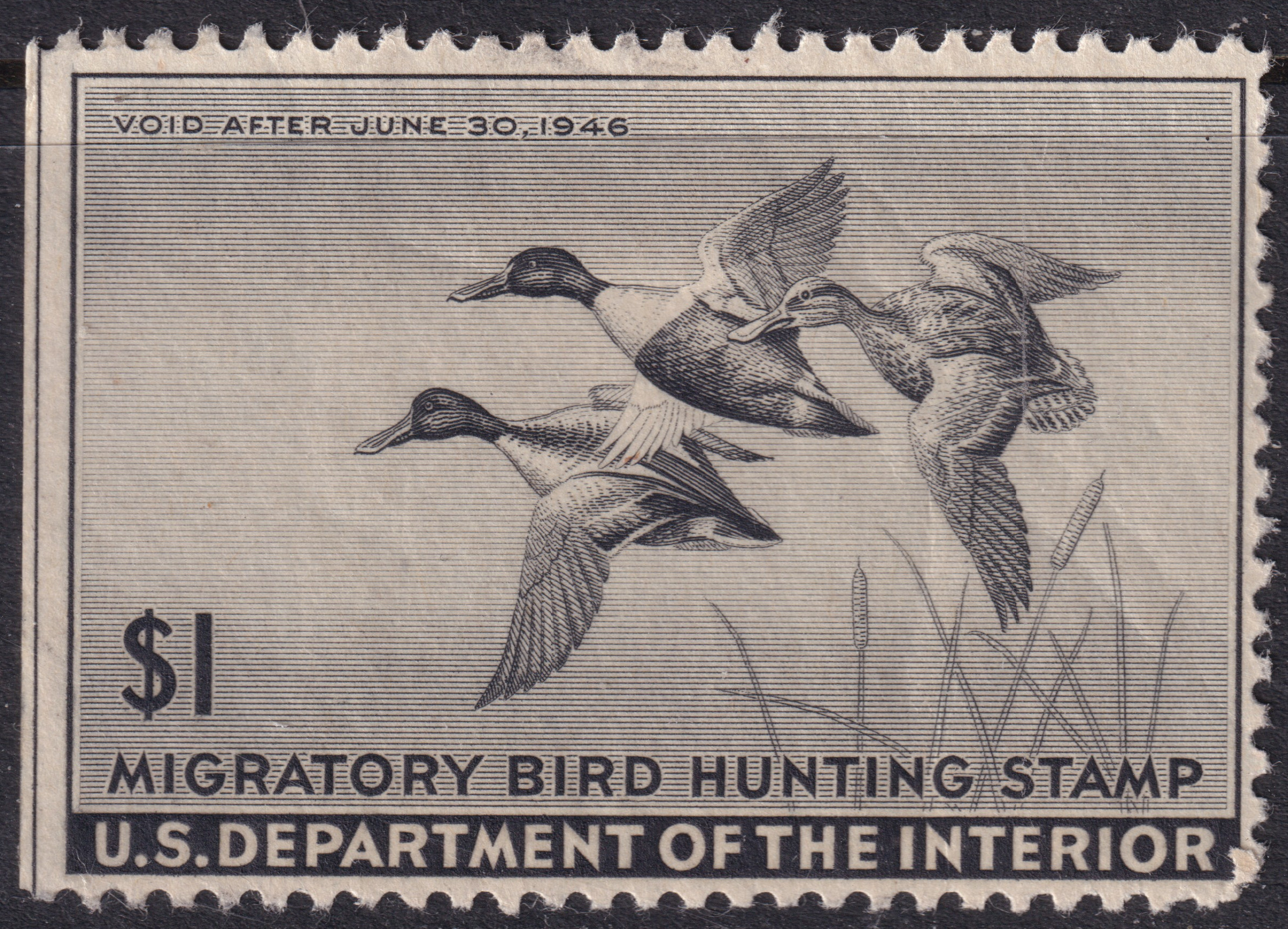 Stamp Picture