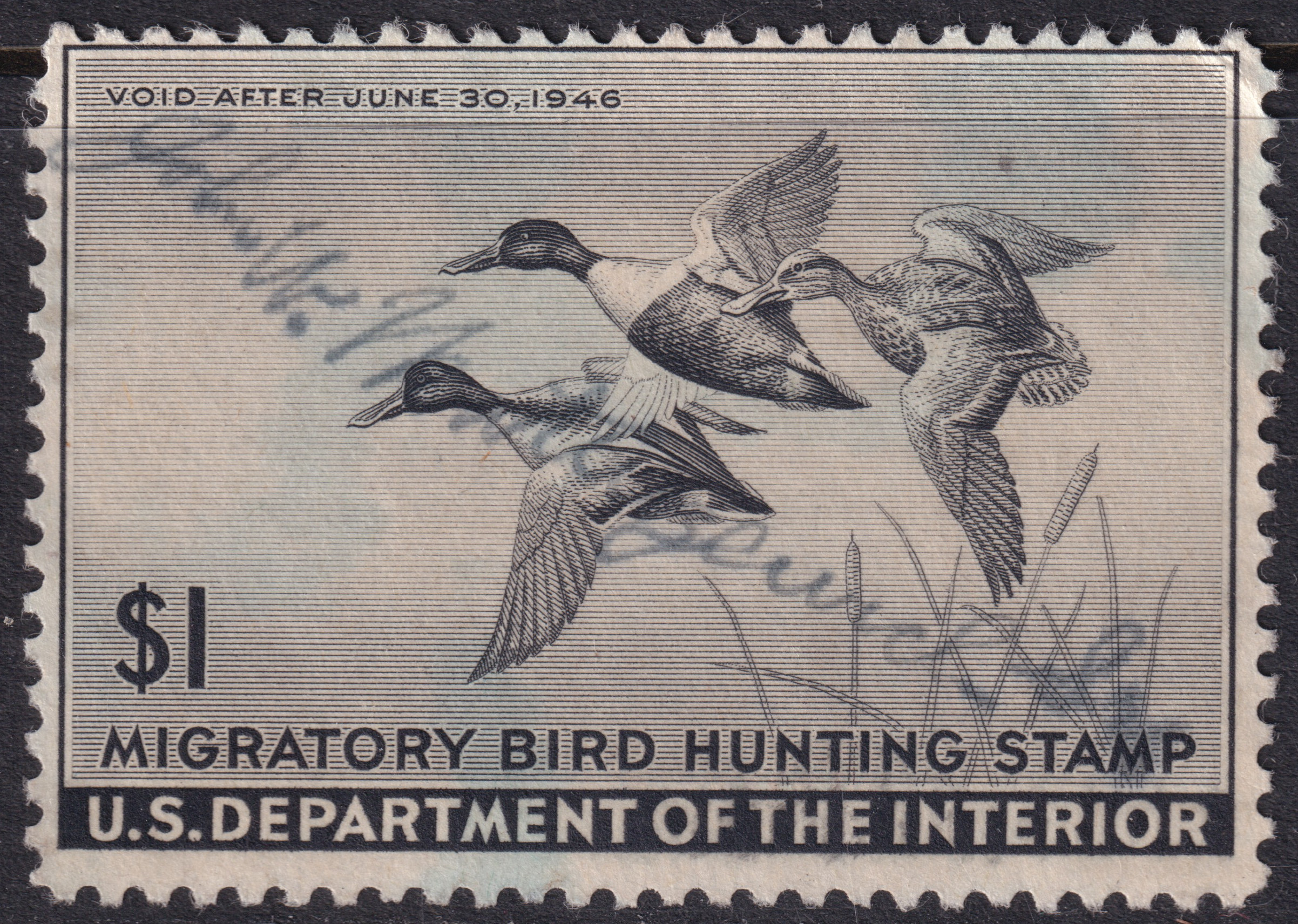 Stamp Picture