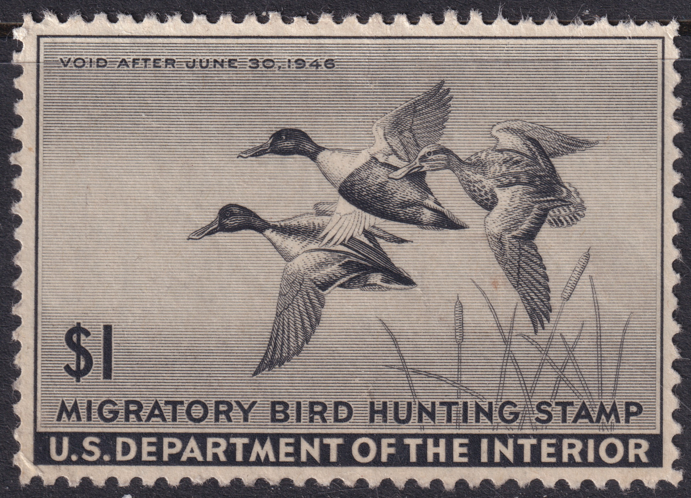 Stamp Picture