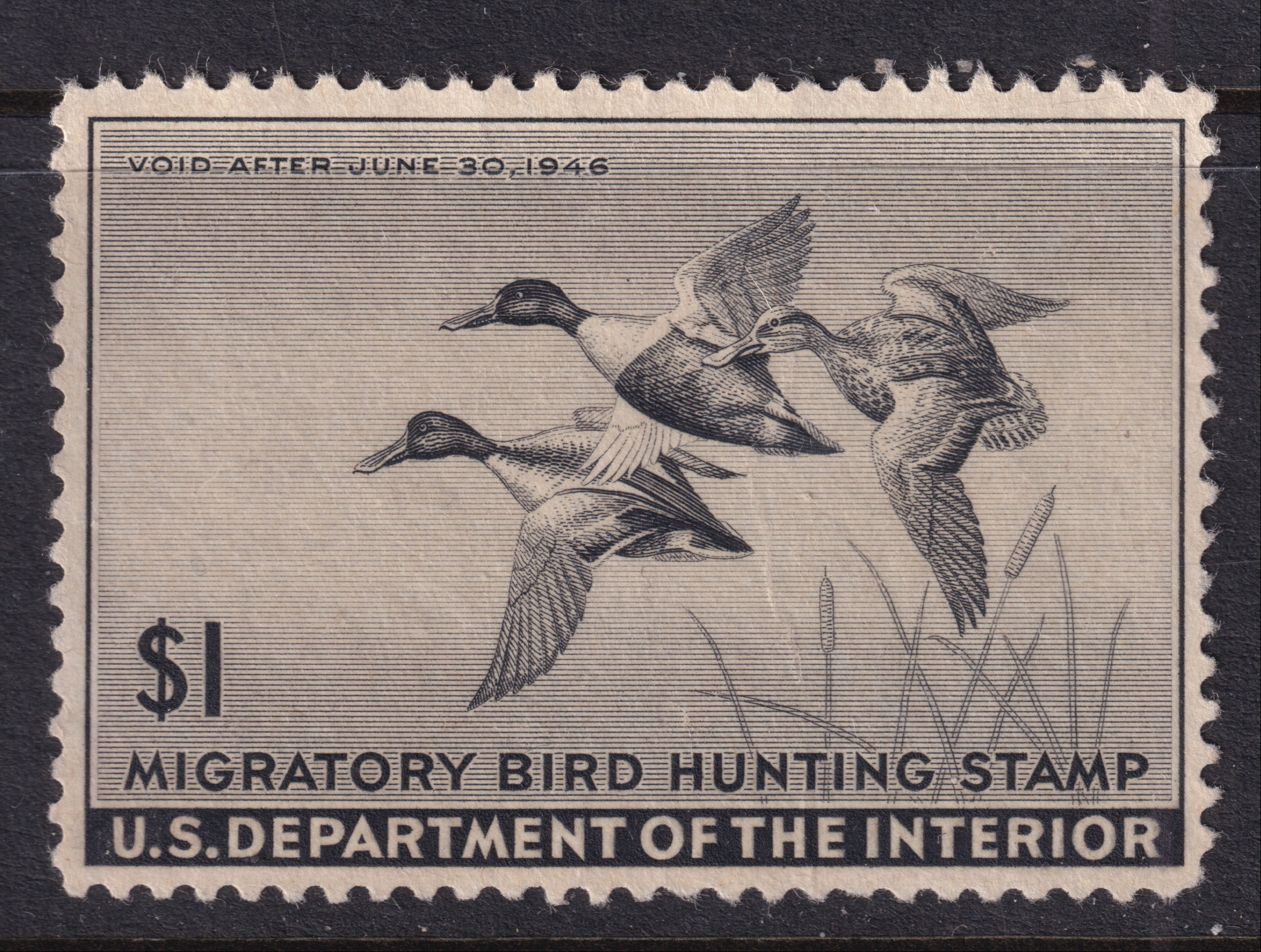 Stamp Picture