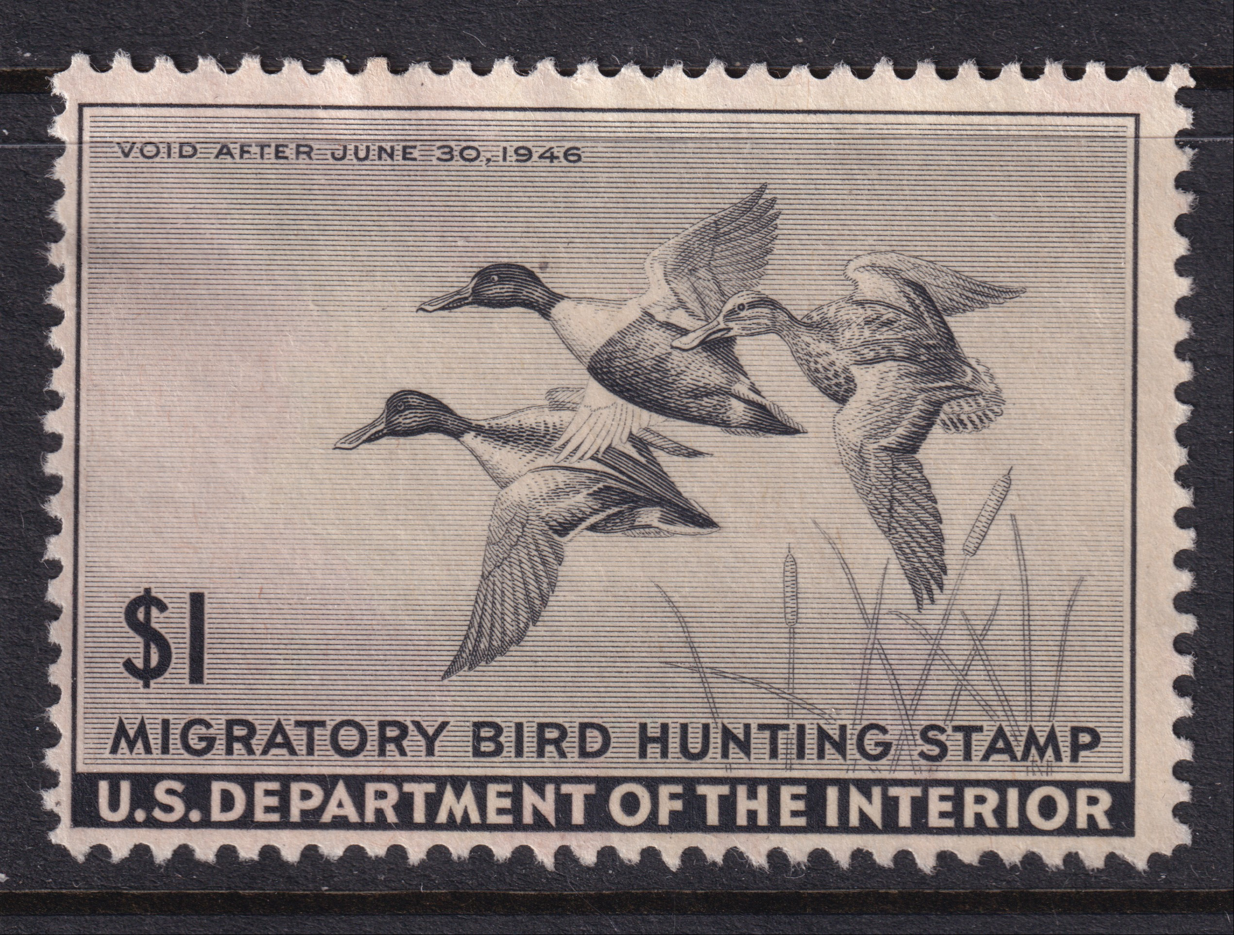 Stamp Picture