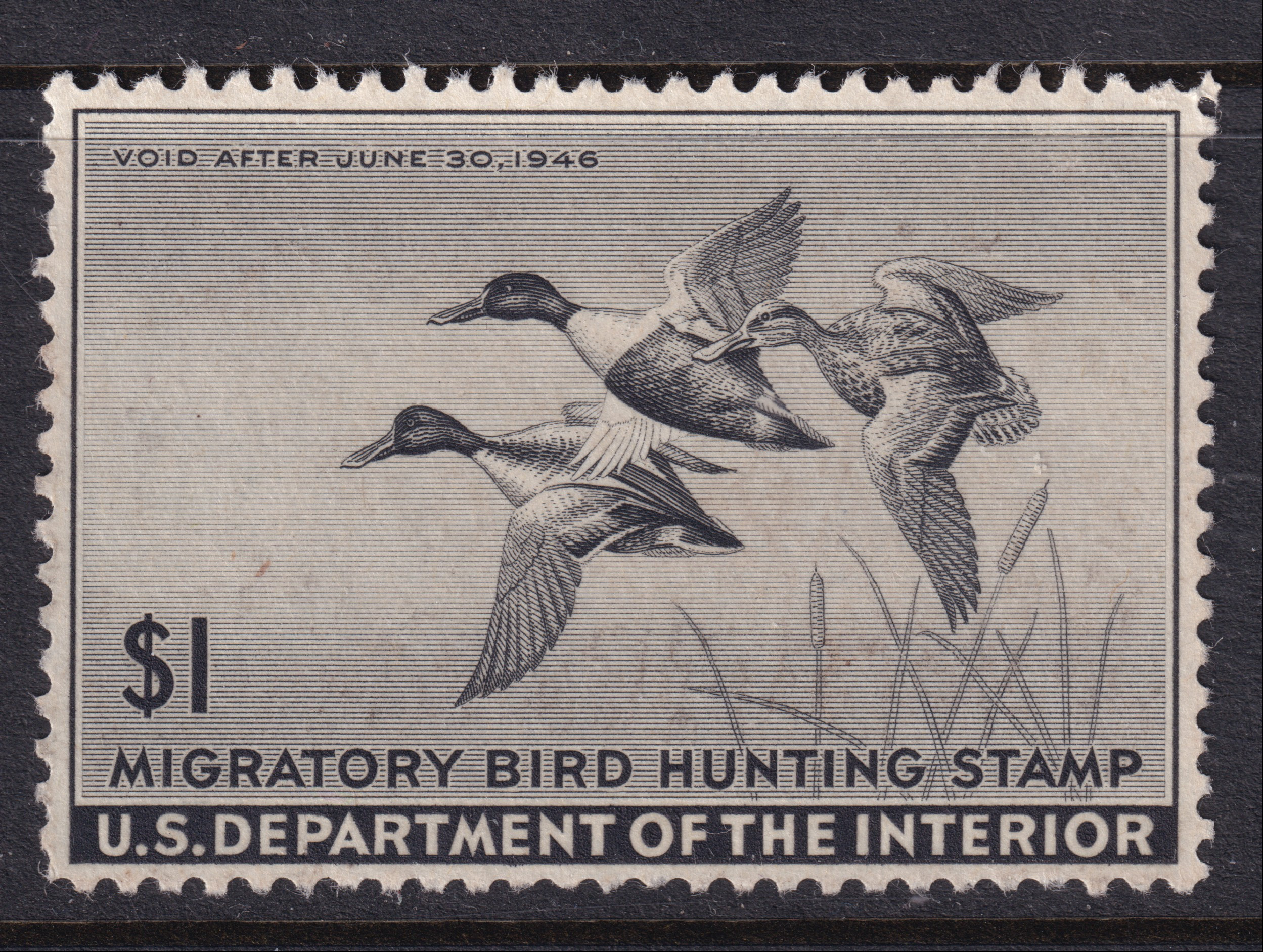 Stamp Picture