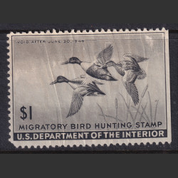 Picture of Lot #55671