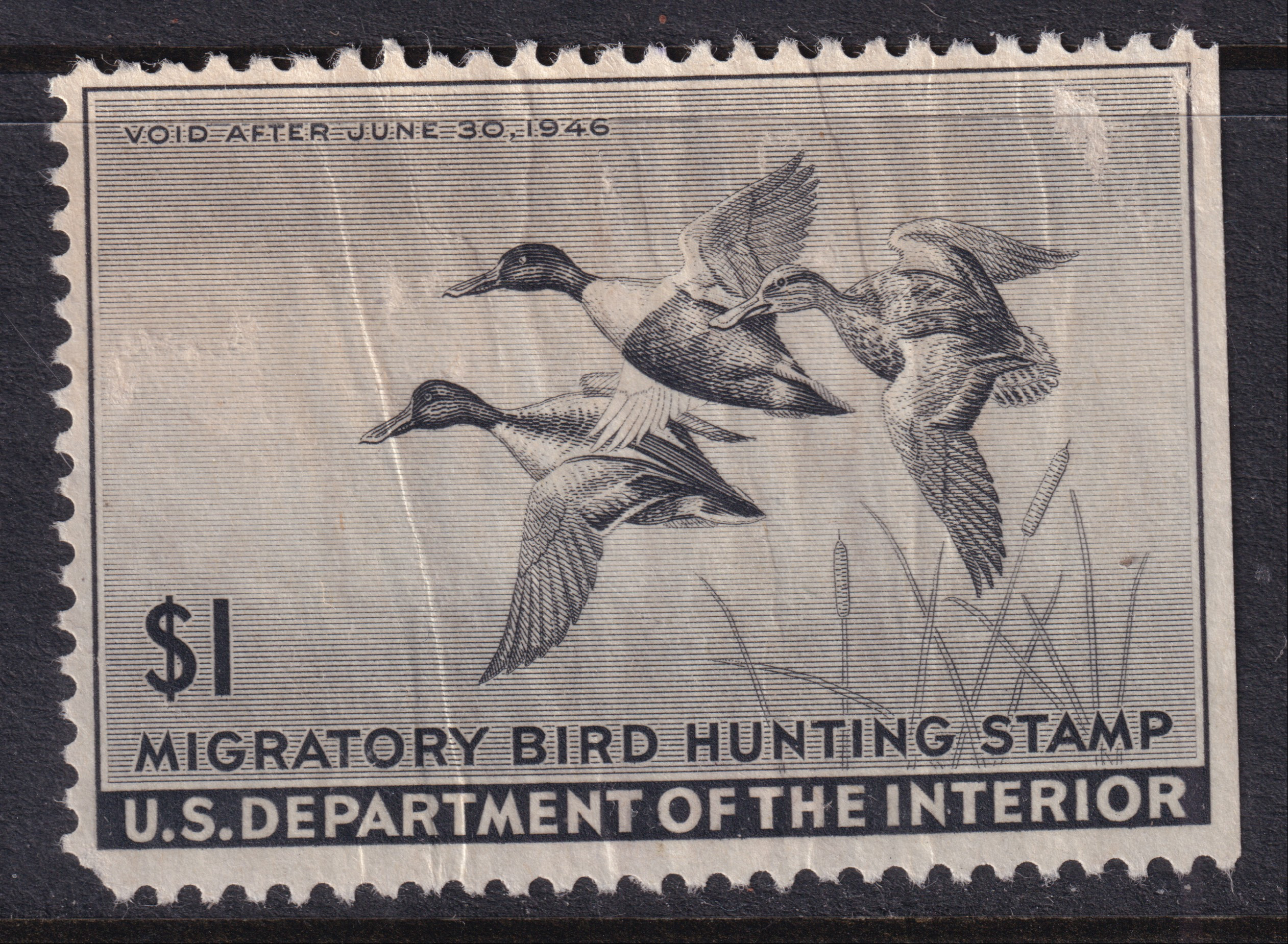 Stamp Picture