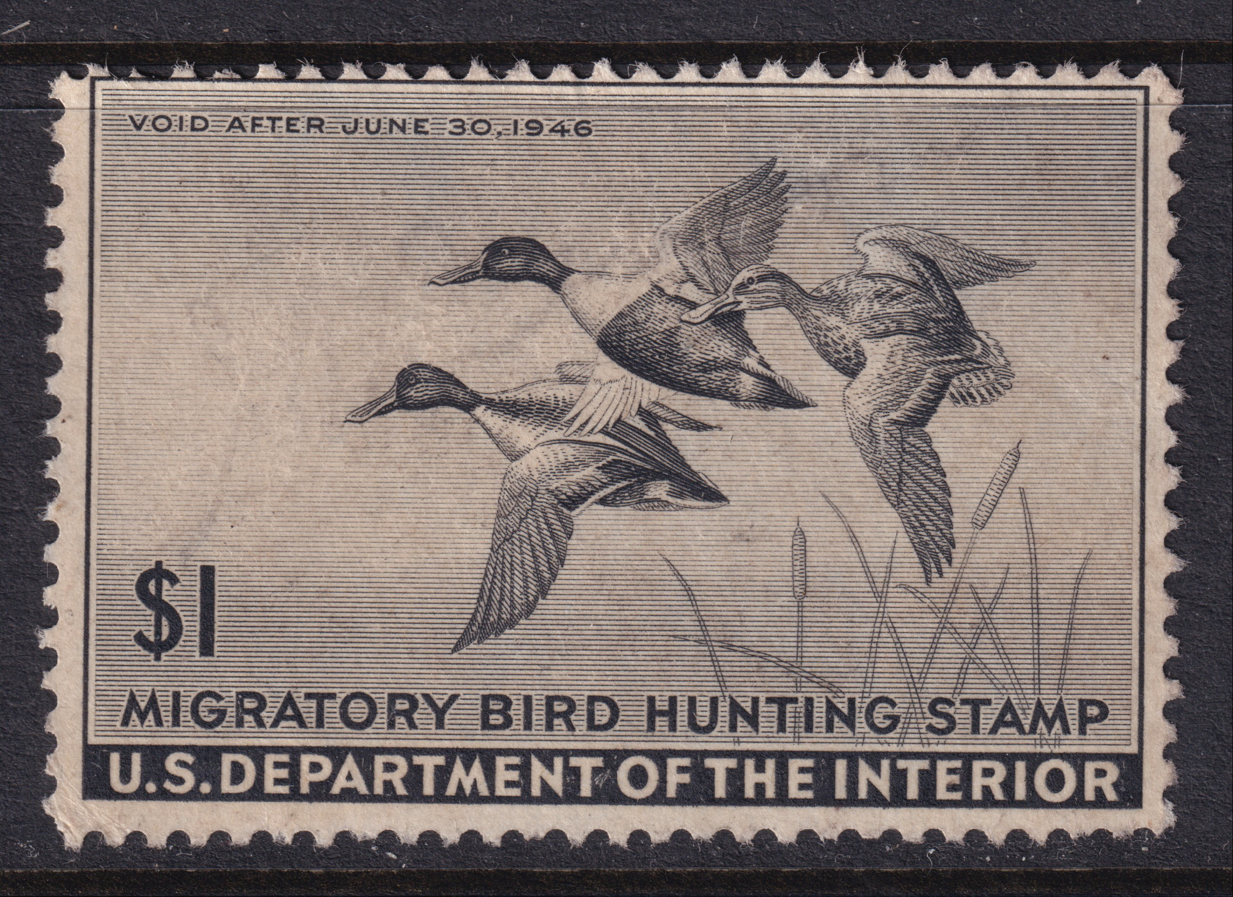 Stamp Picture