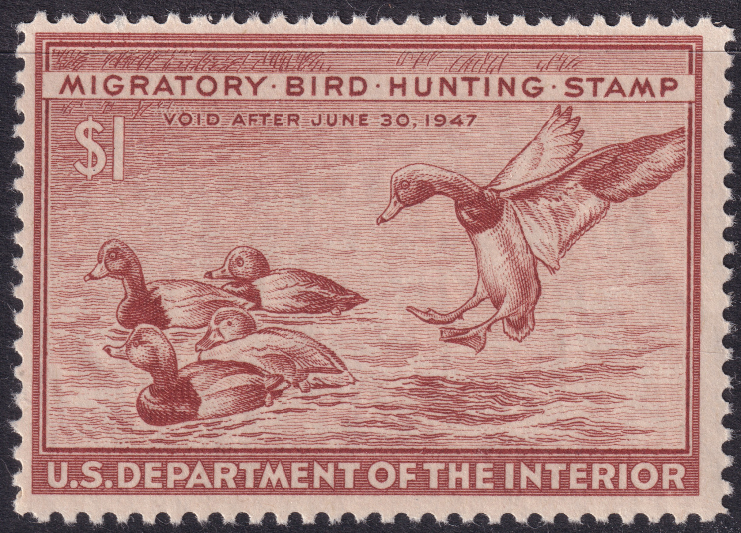 Stamp Picture