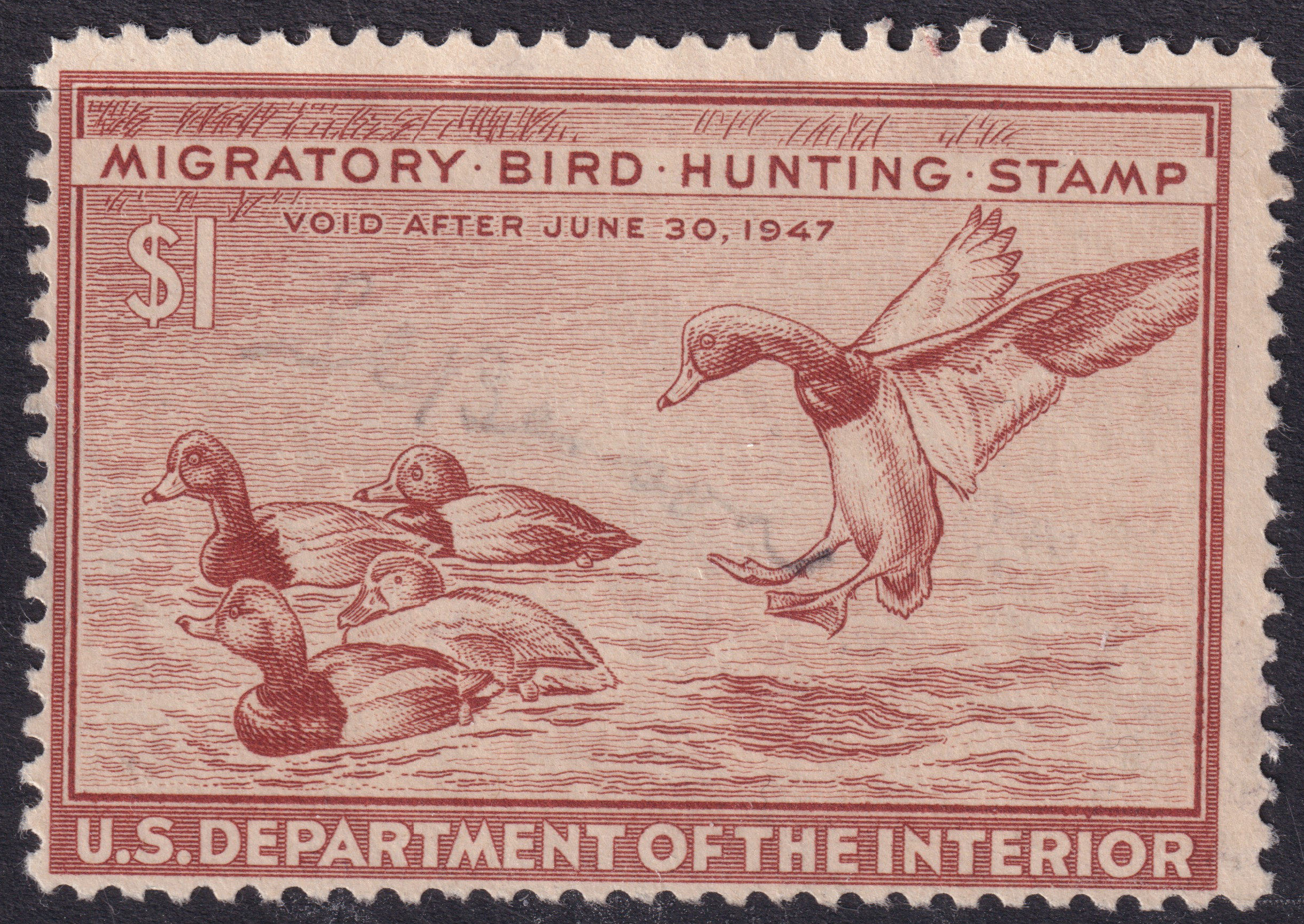 Stamp Picture