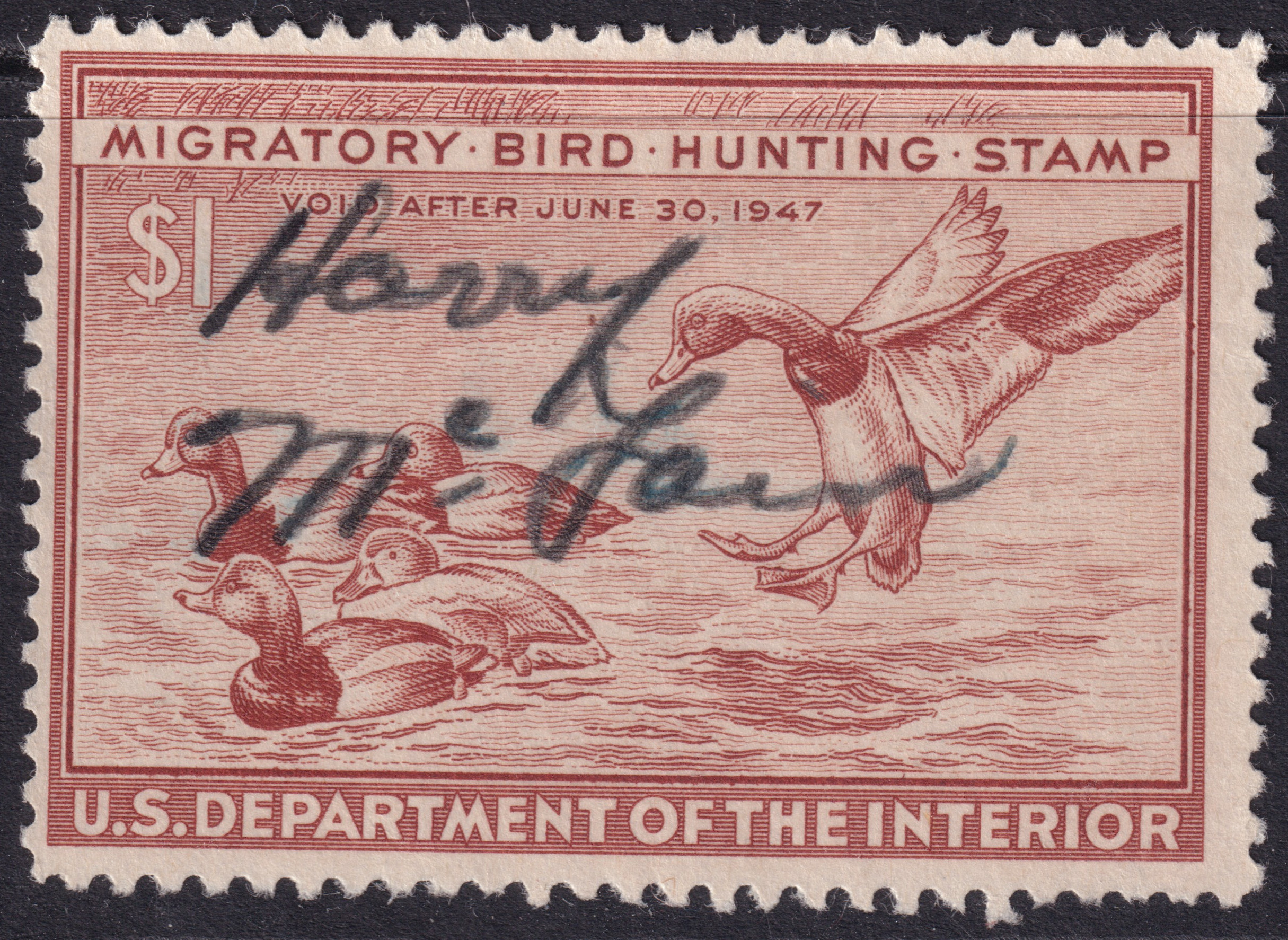 Stamp Picture