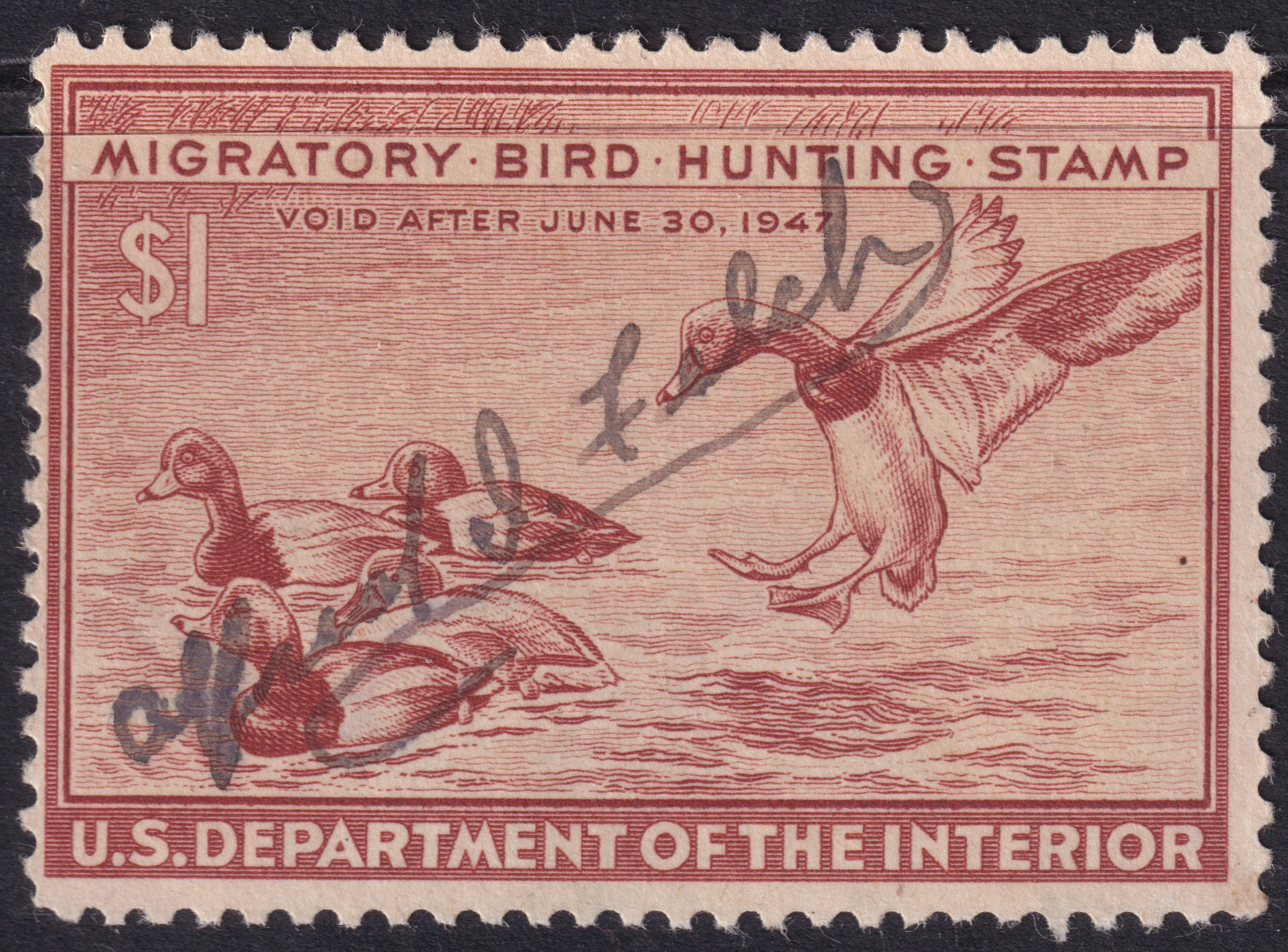Stamp Picture