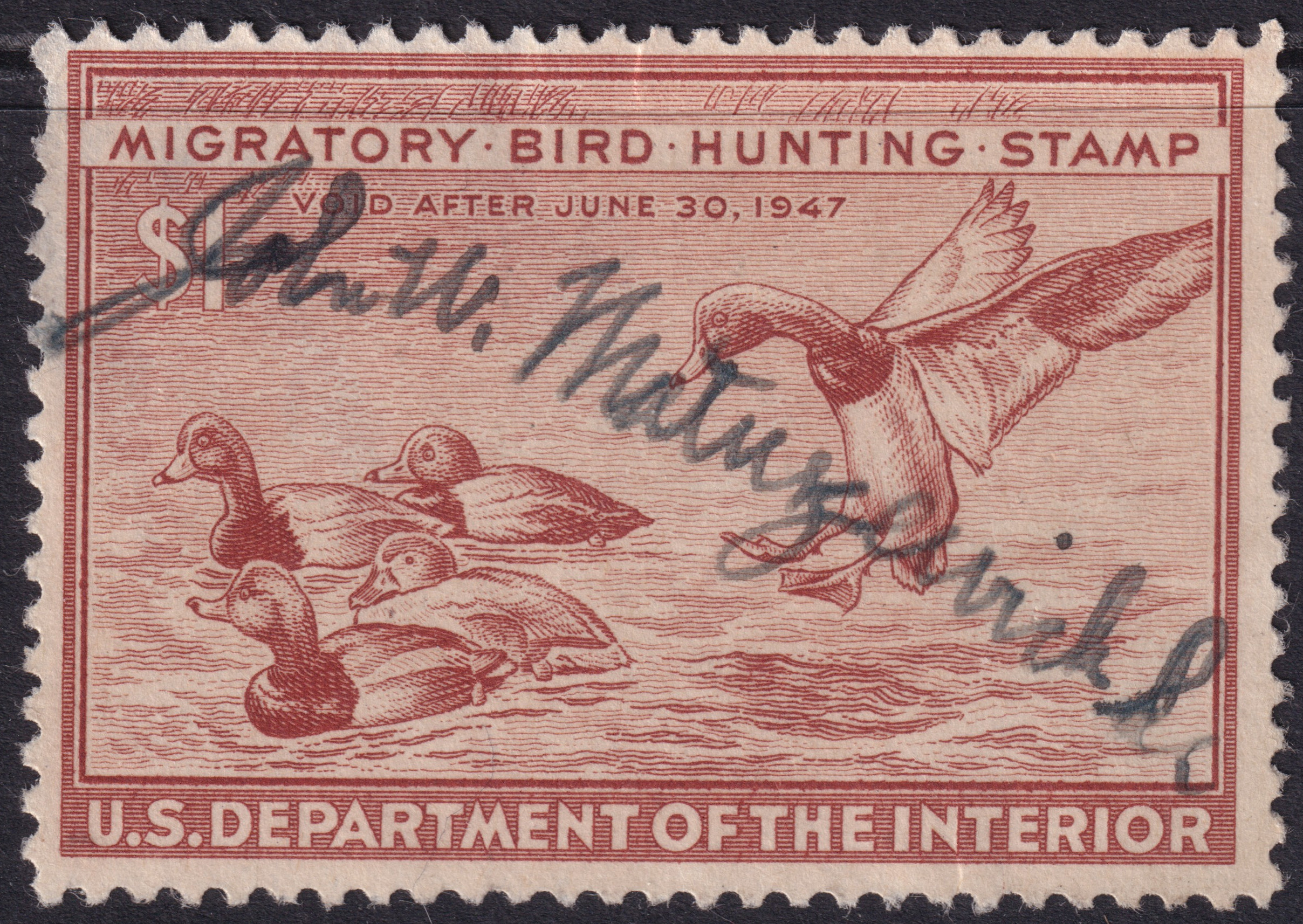 Stamp Picture