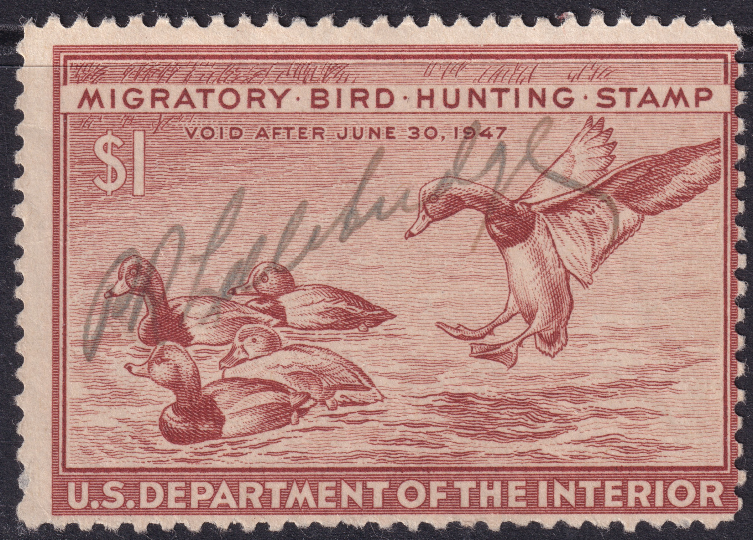Stamp Picture