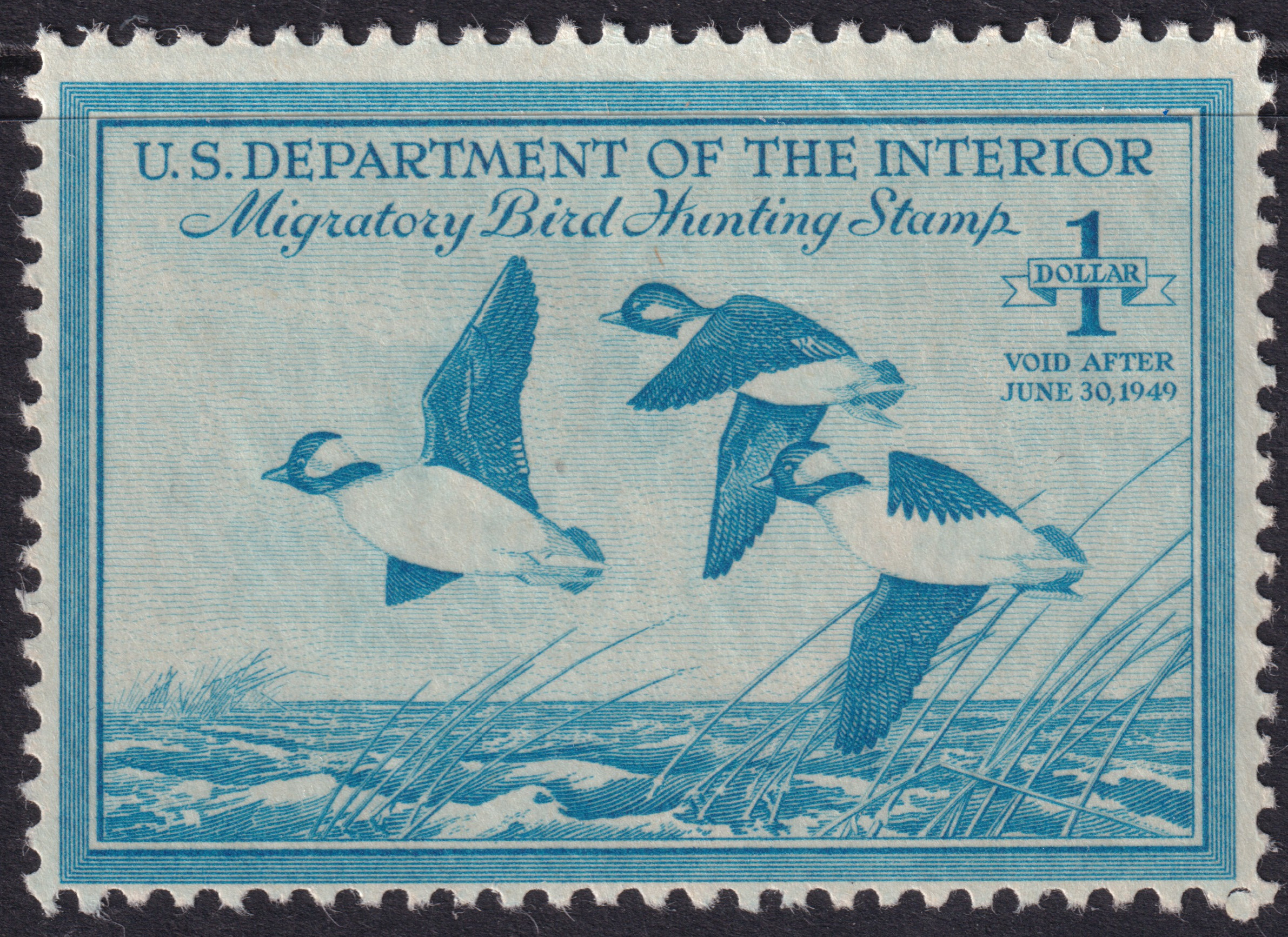 Stamp Picture