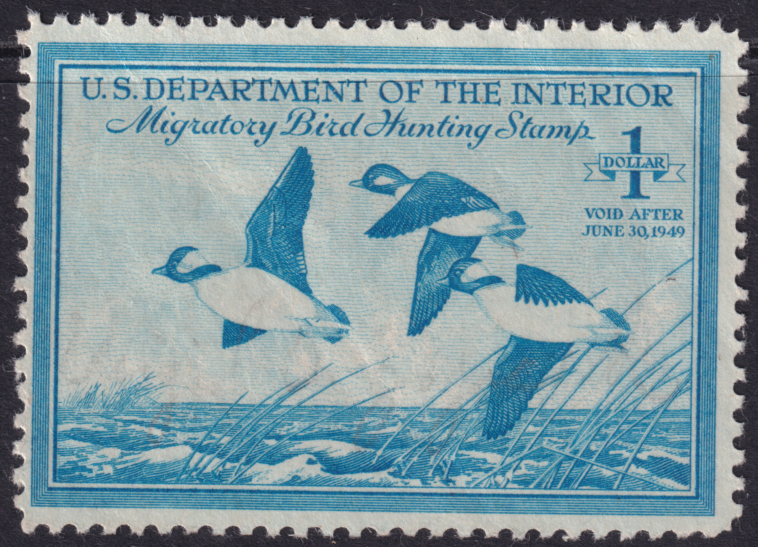 Stamp Picture