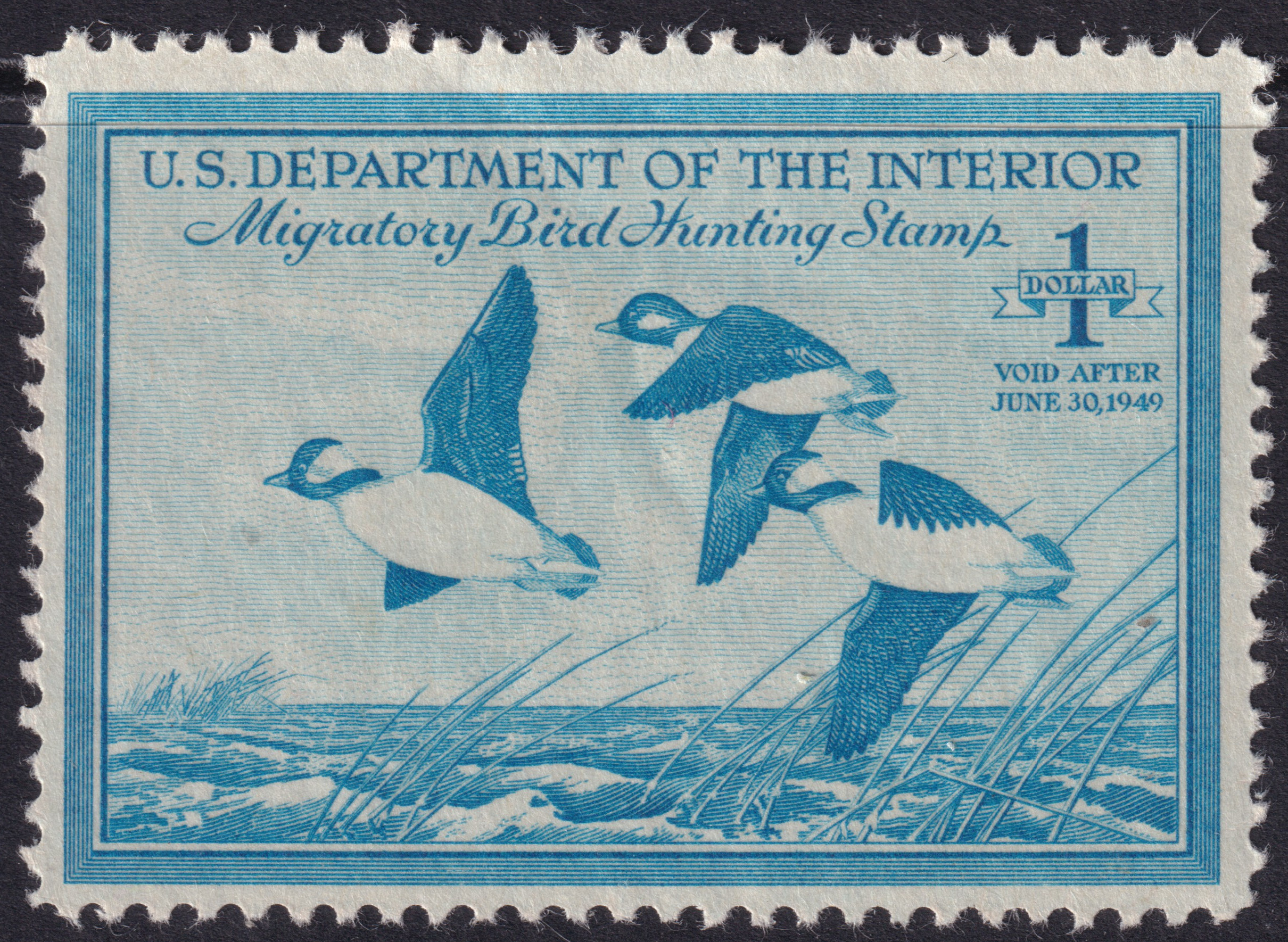 Stamp Picture