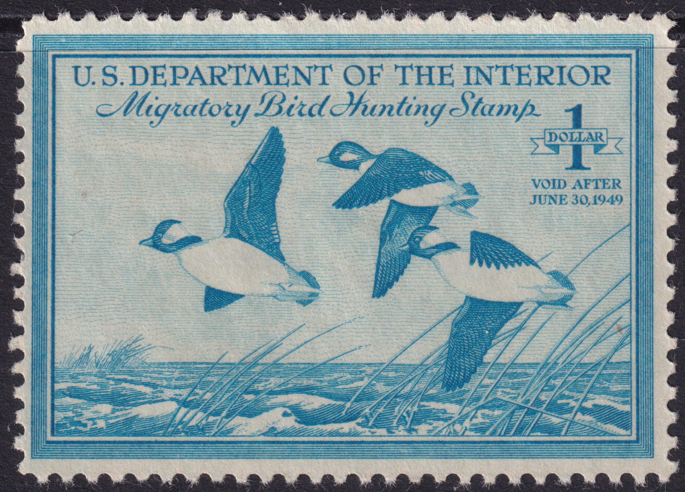 Stamp Picture