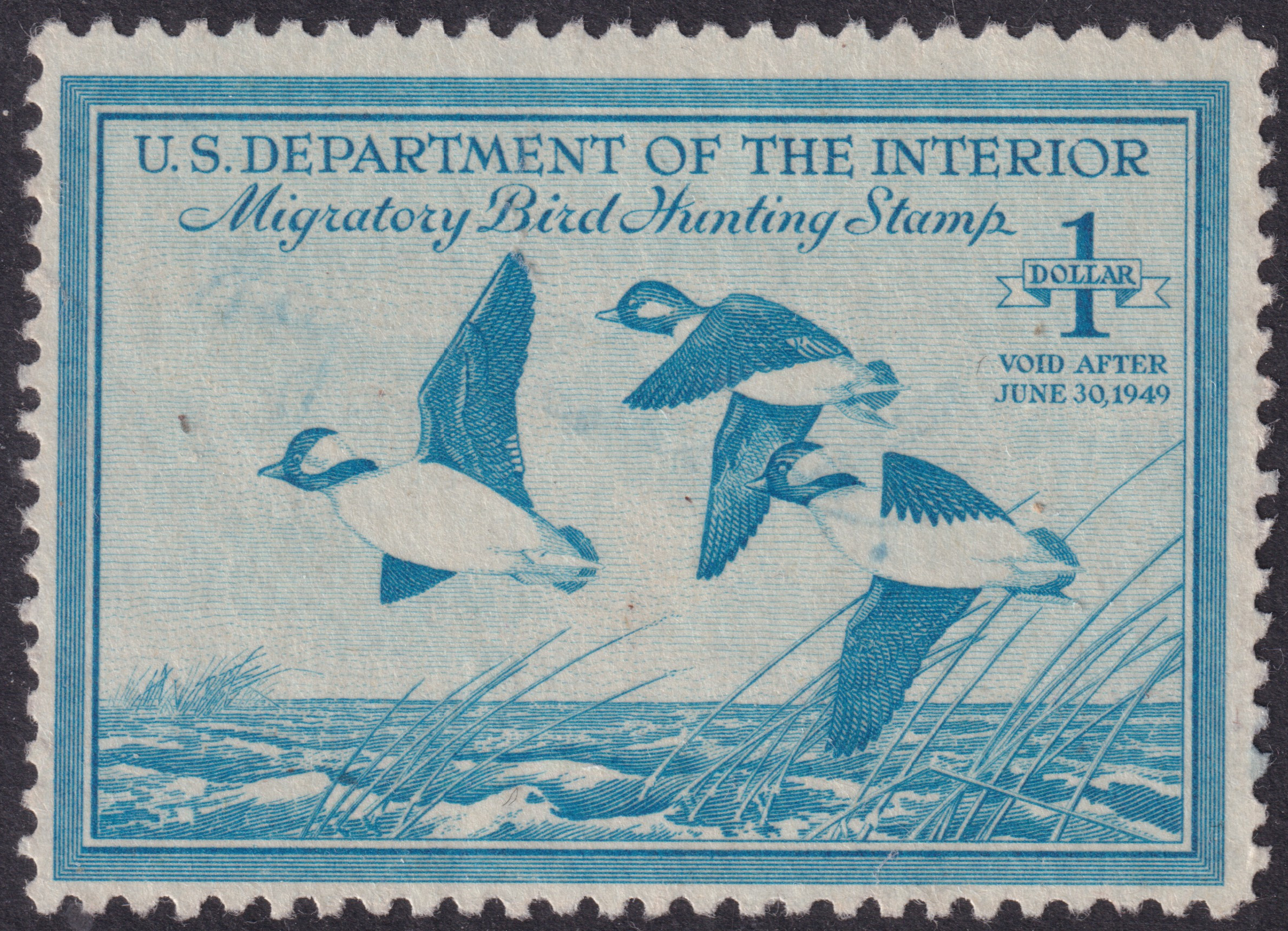 Stamp Picture