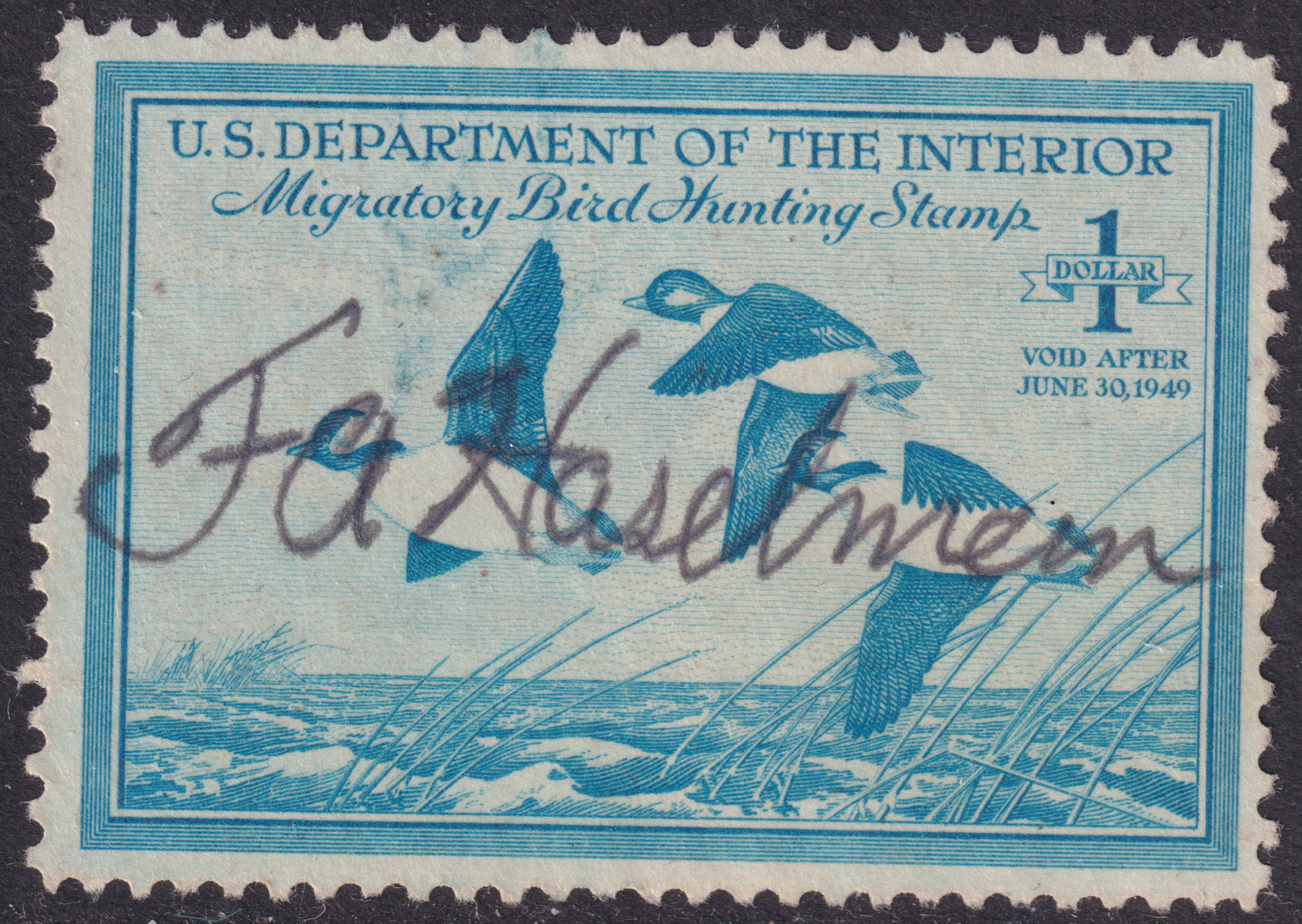 Stamp Picture
