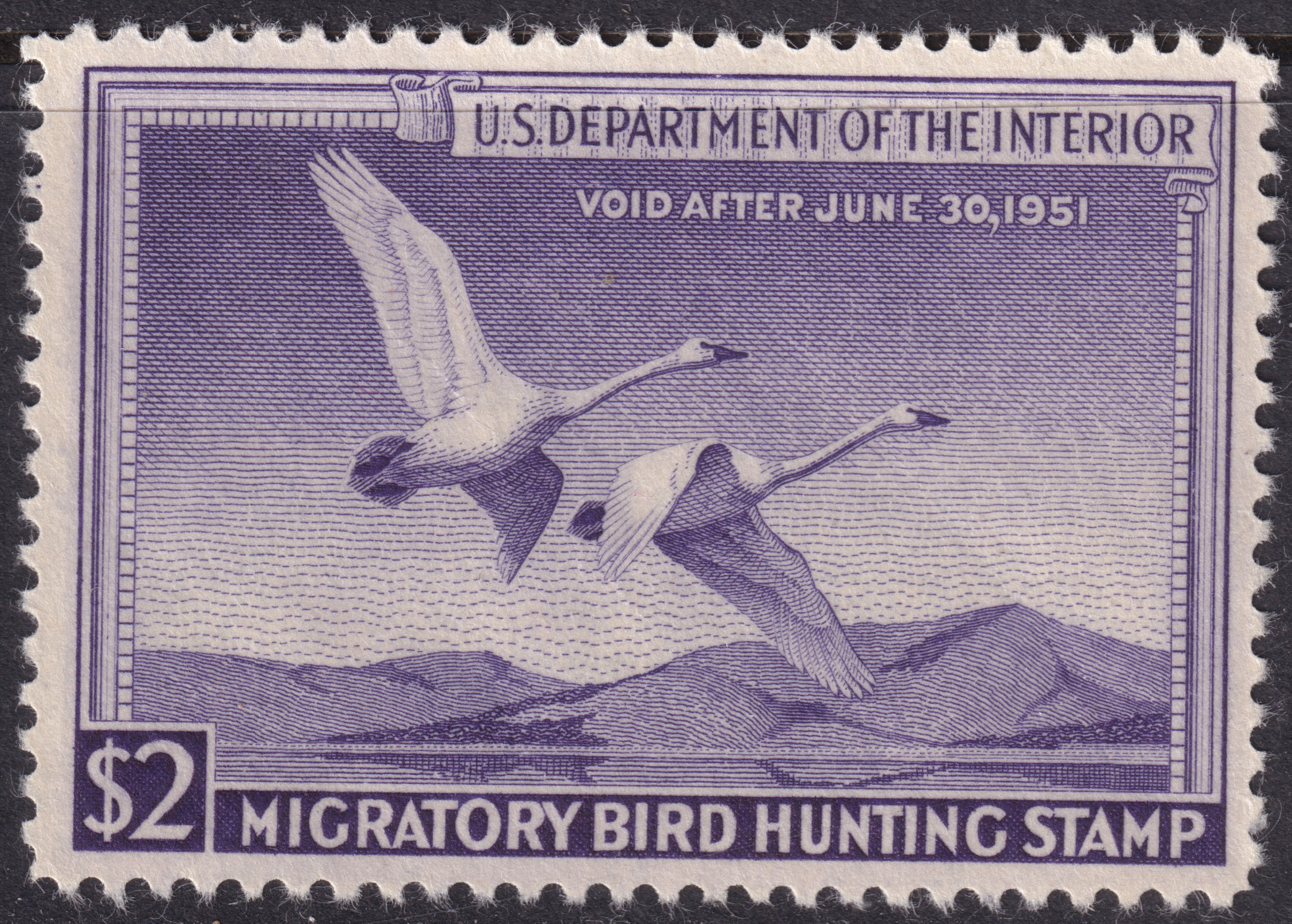 Stamp Picture