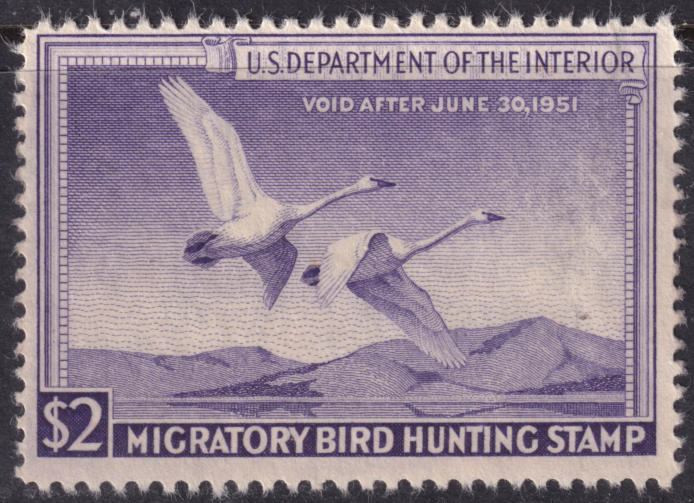 Stamp Picture