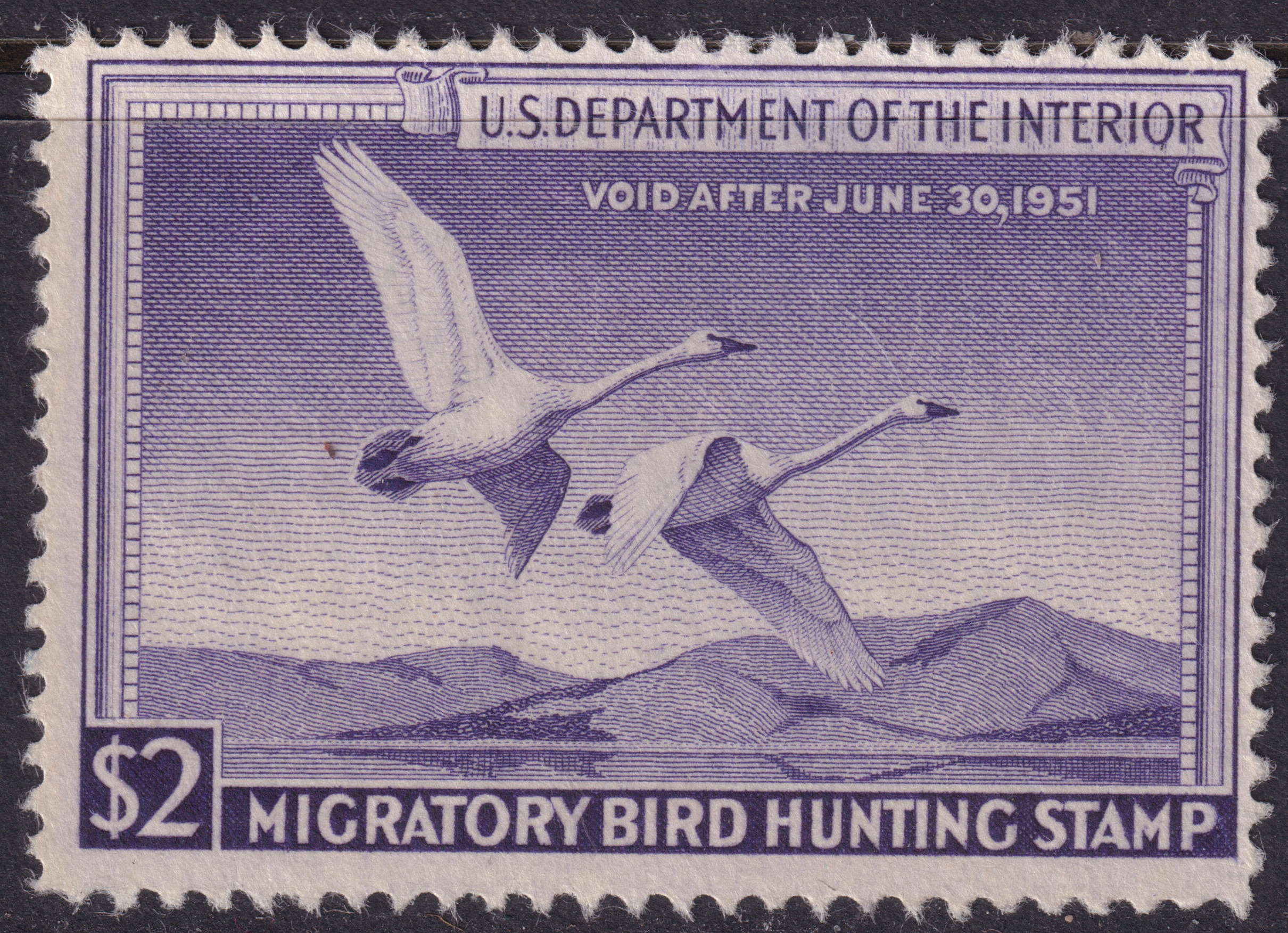 Stamp Picture