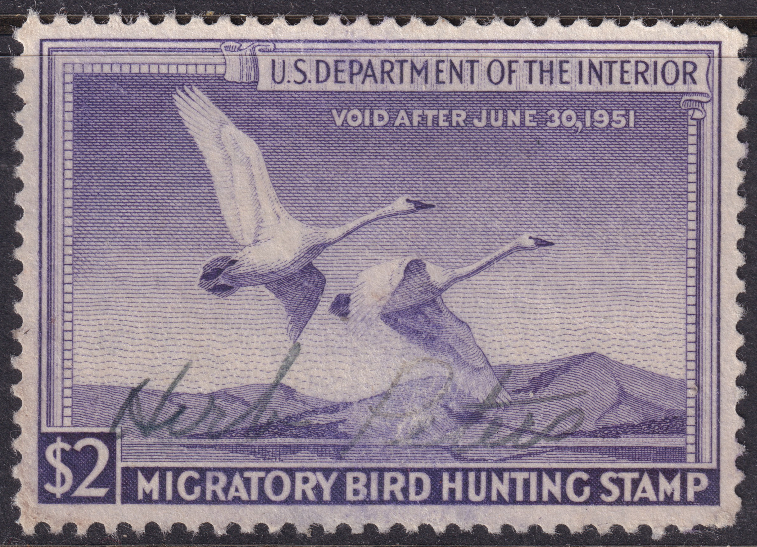 Stamp Picture