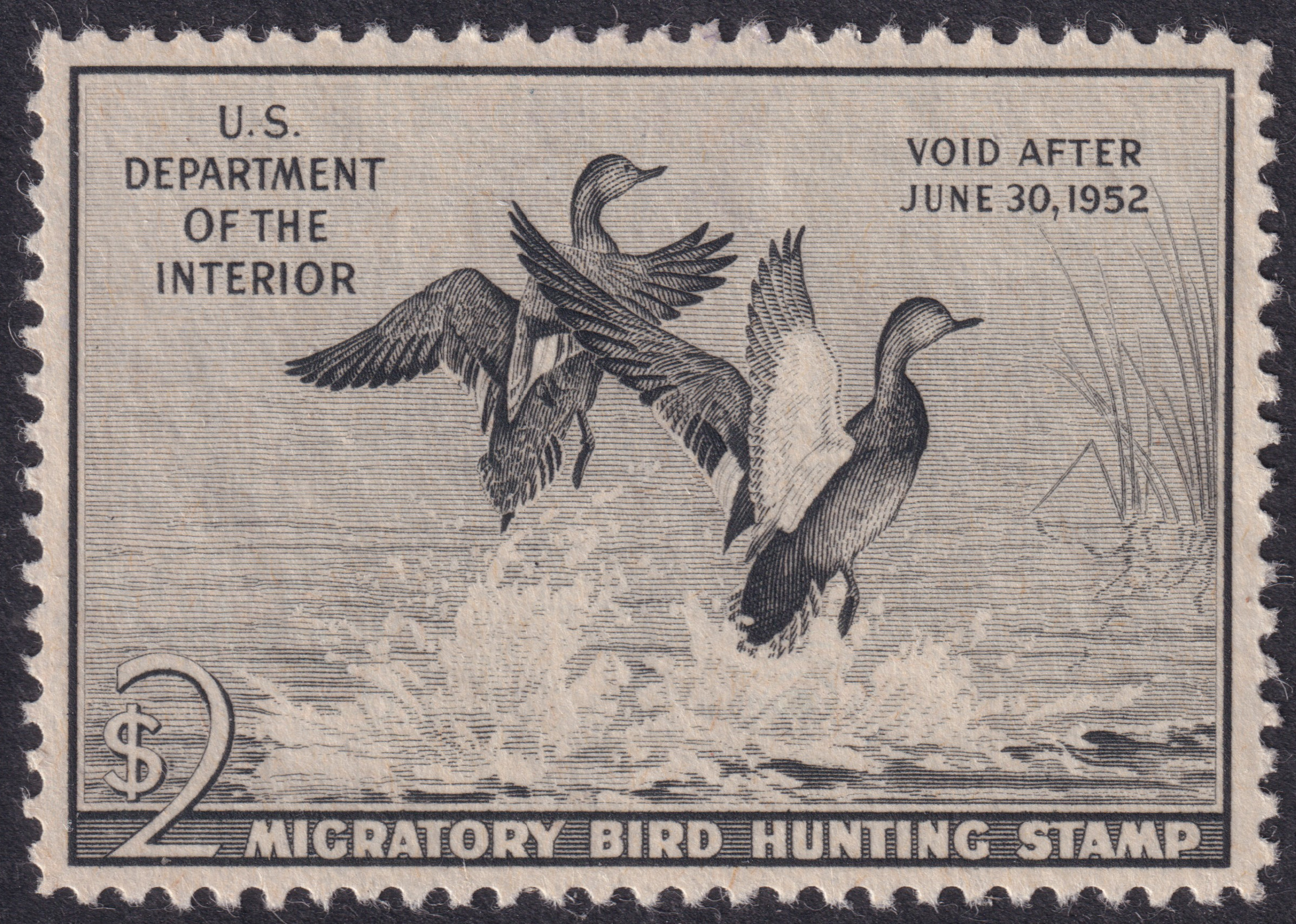Stamp Picture