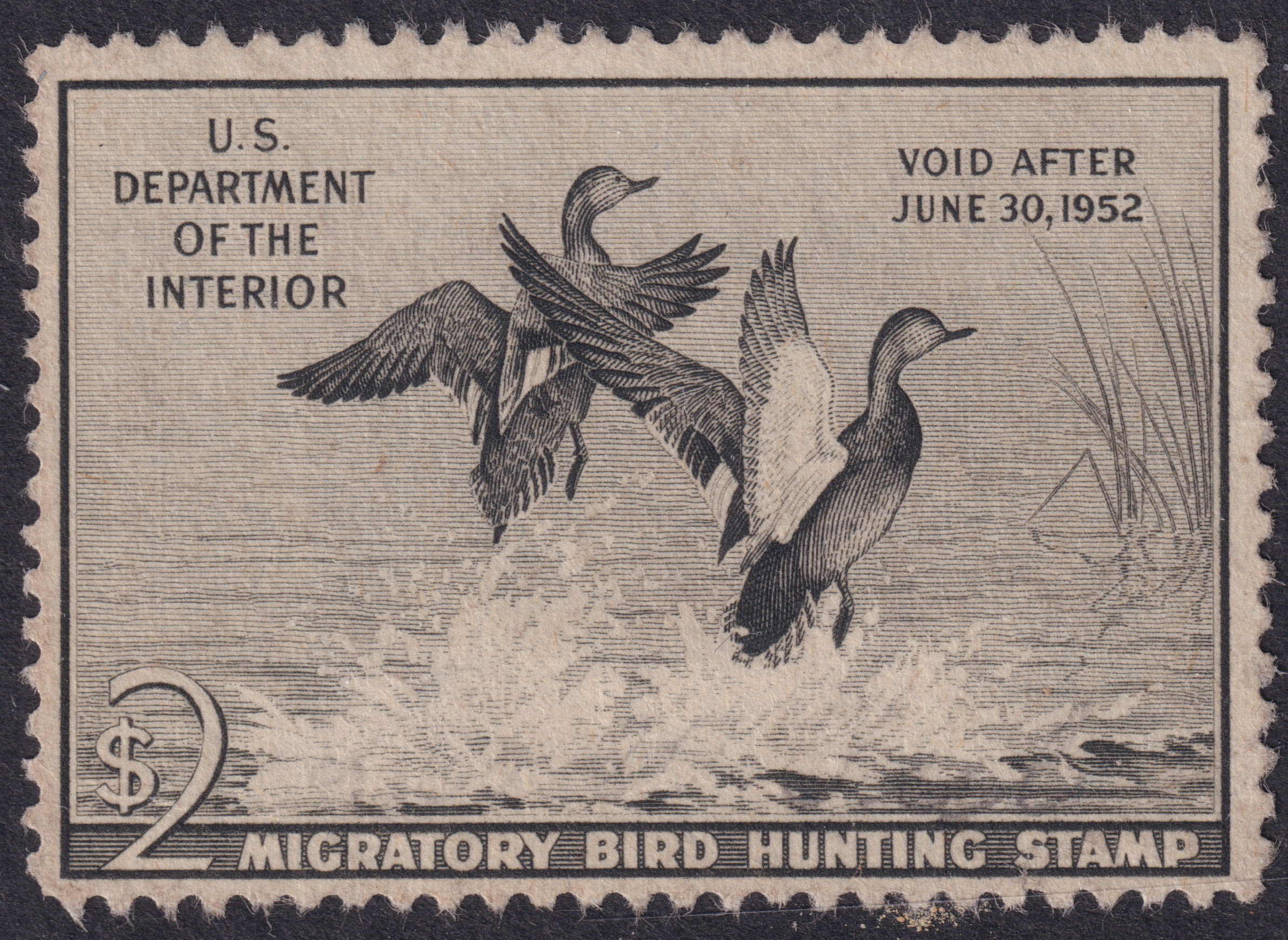 Stamp Picture