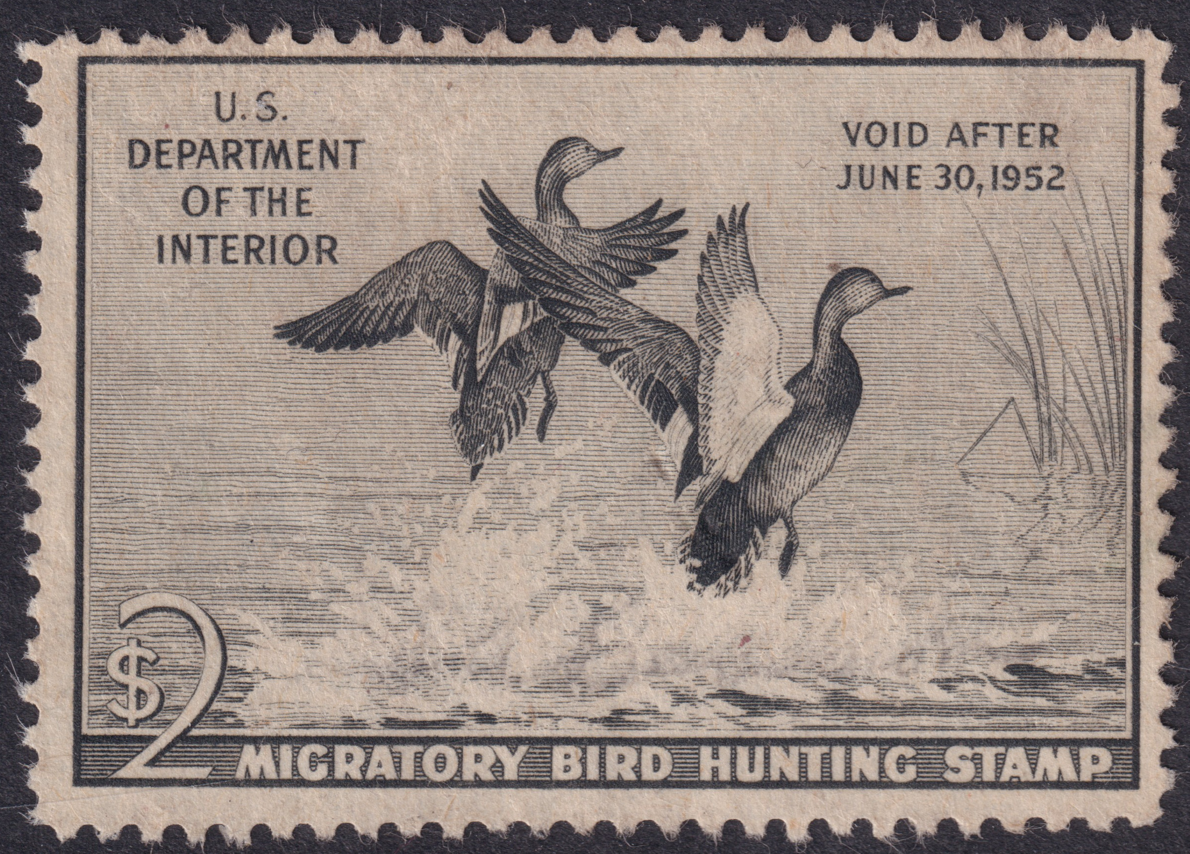 Stamp Picture