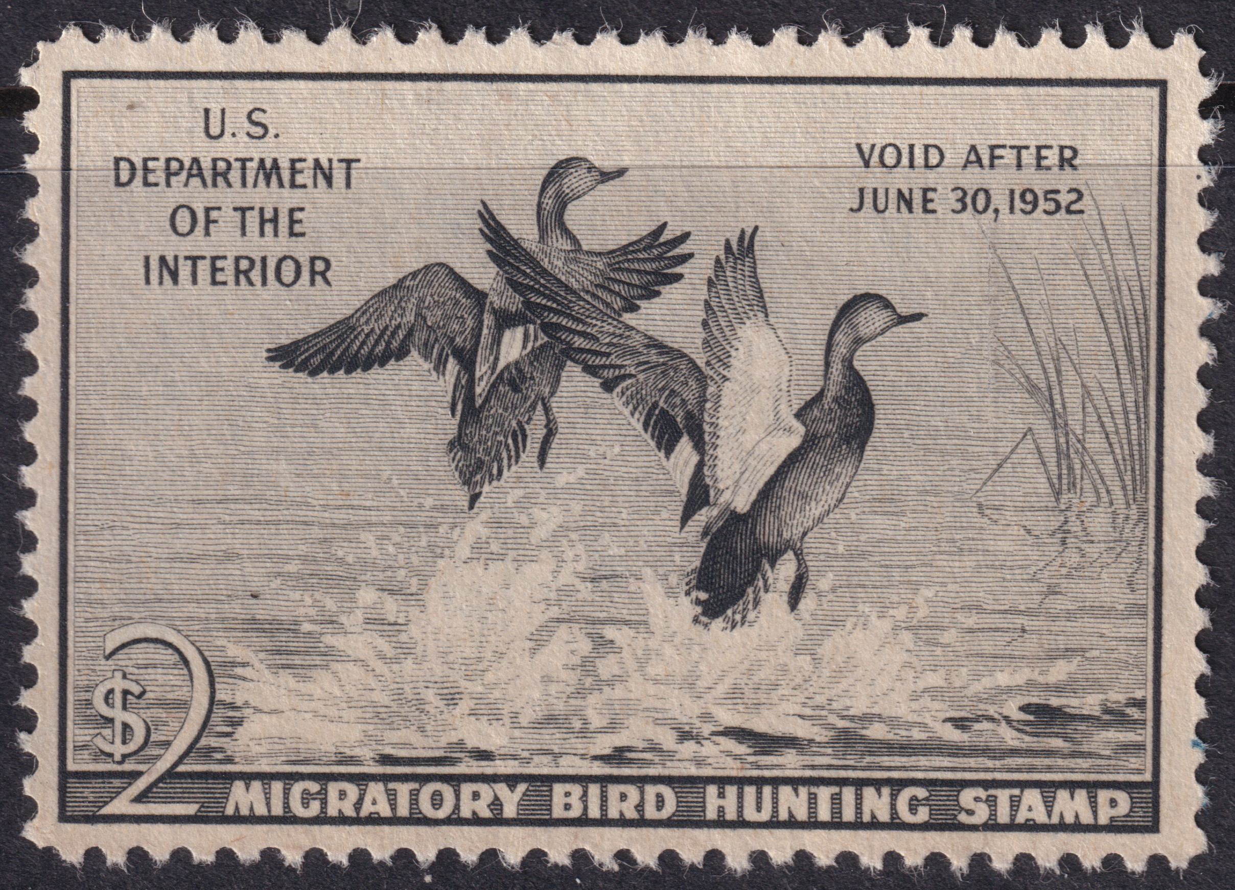Stamp Picture