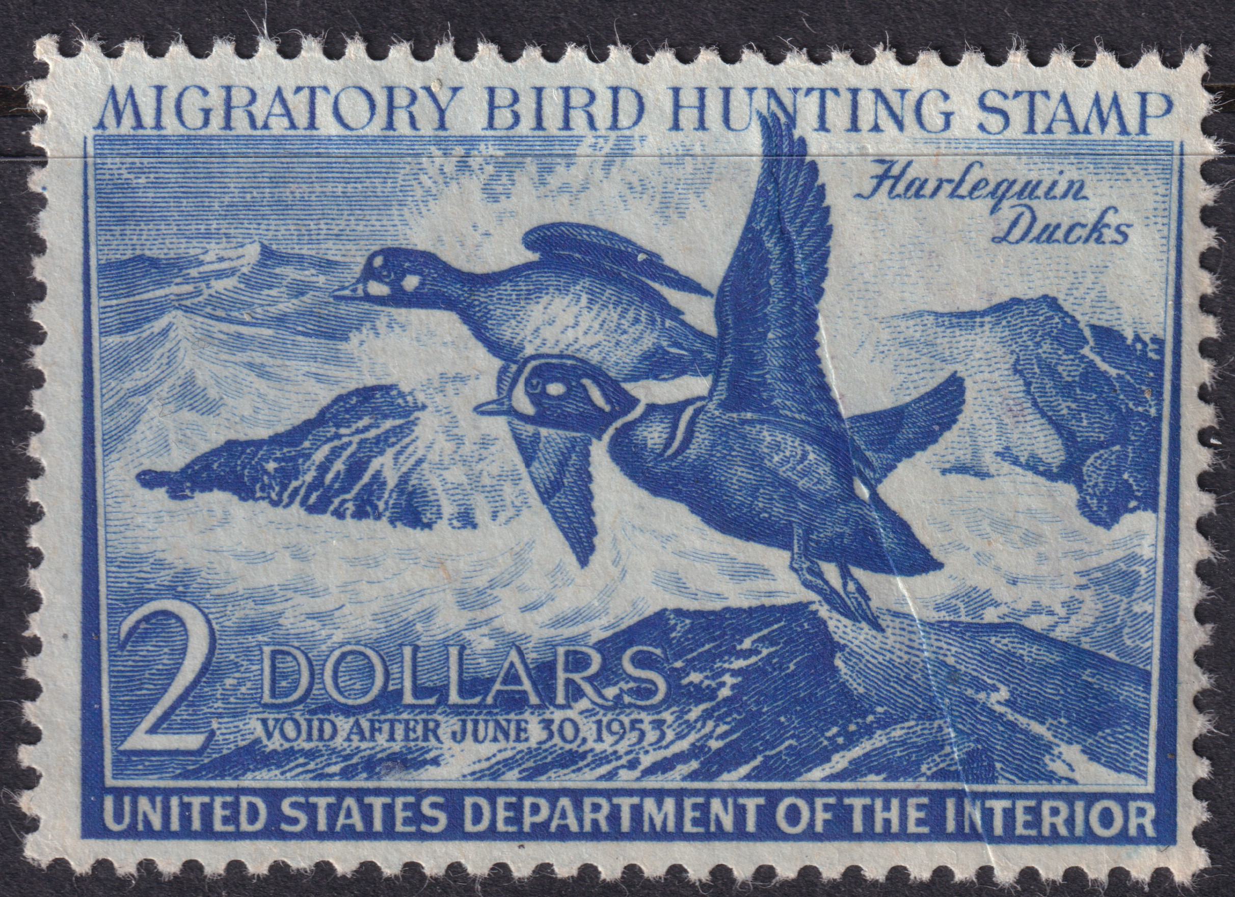 Stamp Picture
