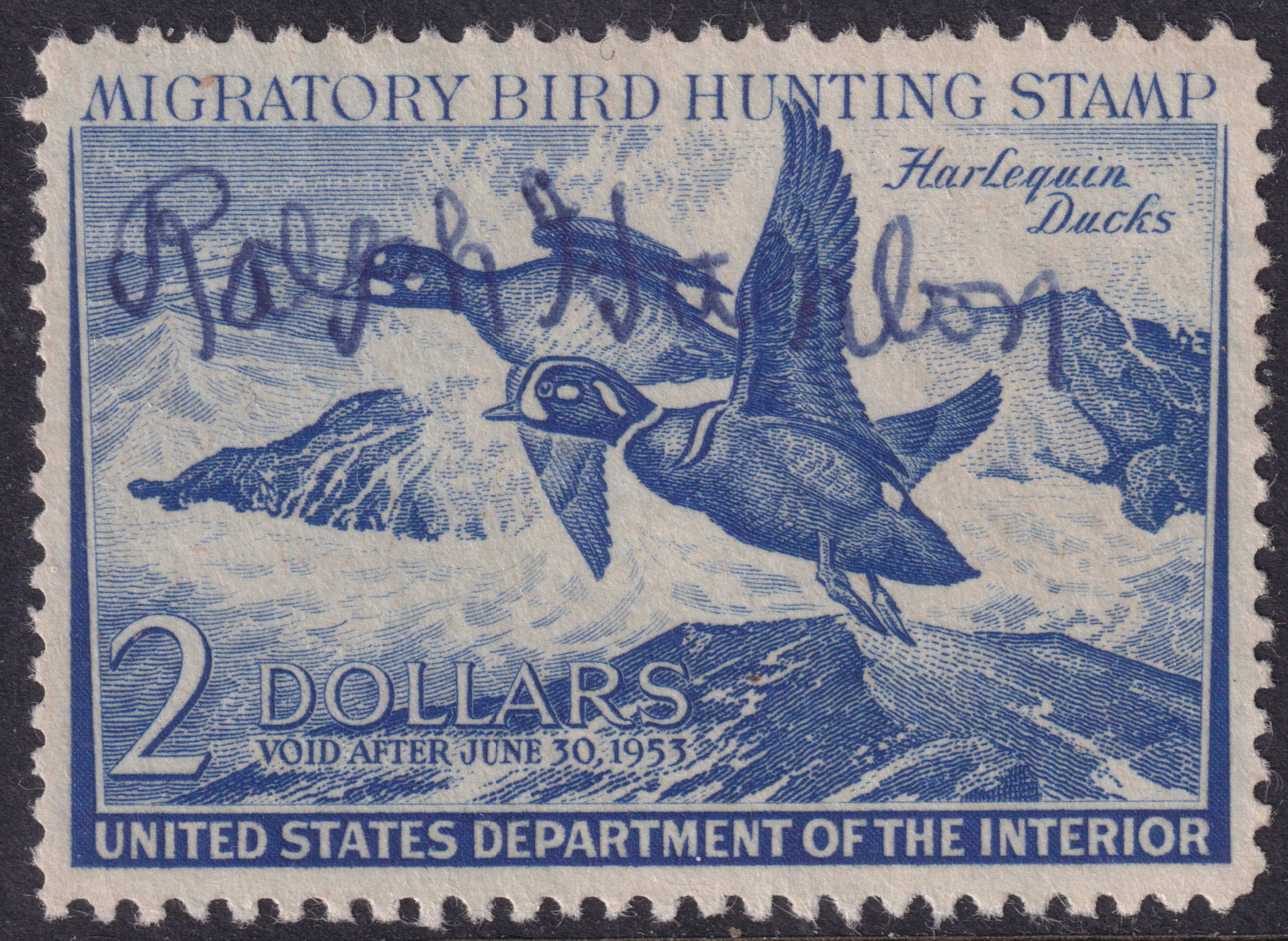 Stamp Picture