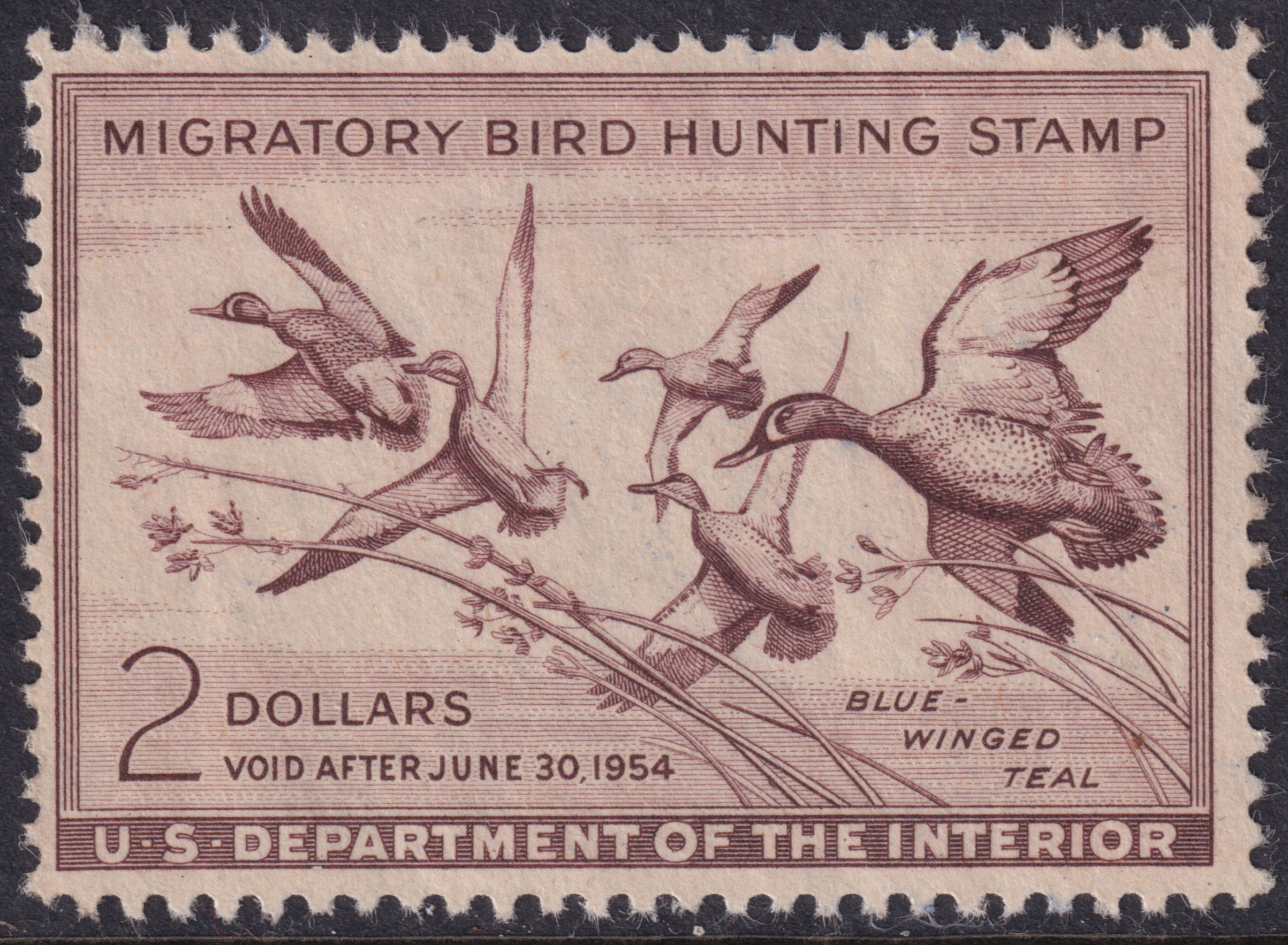 Stamp Picture