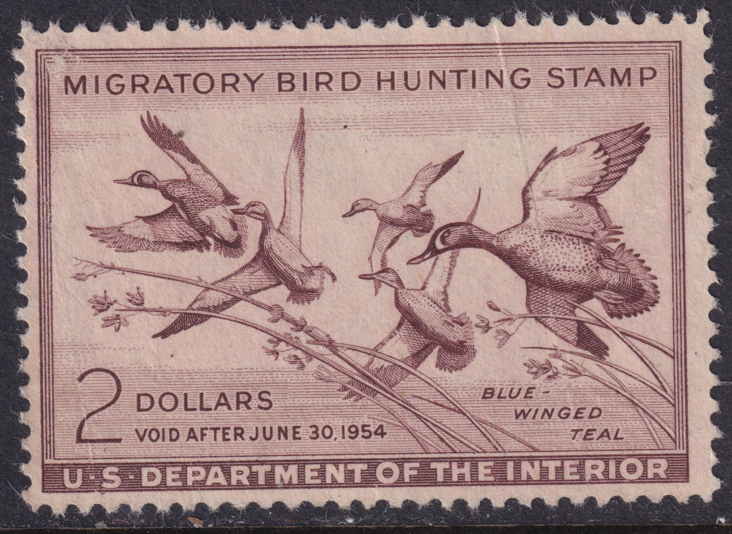 Stamp Picture