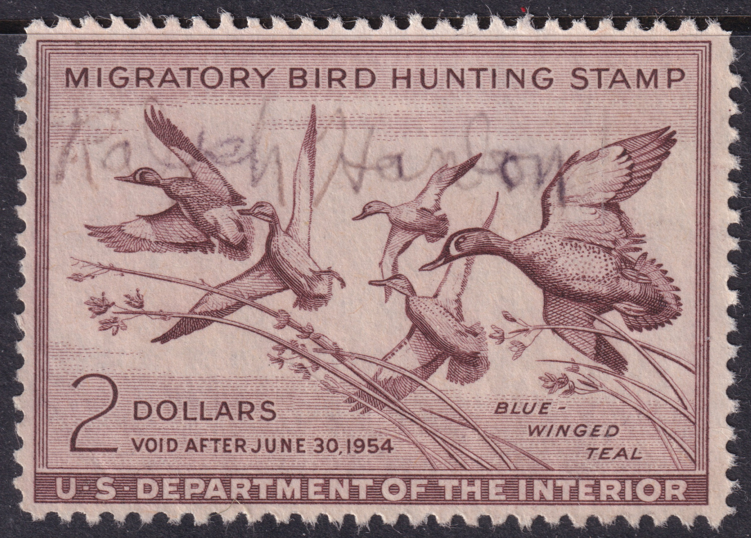 Stamp Picture