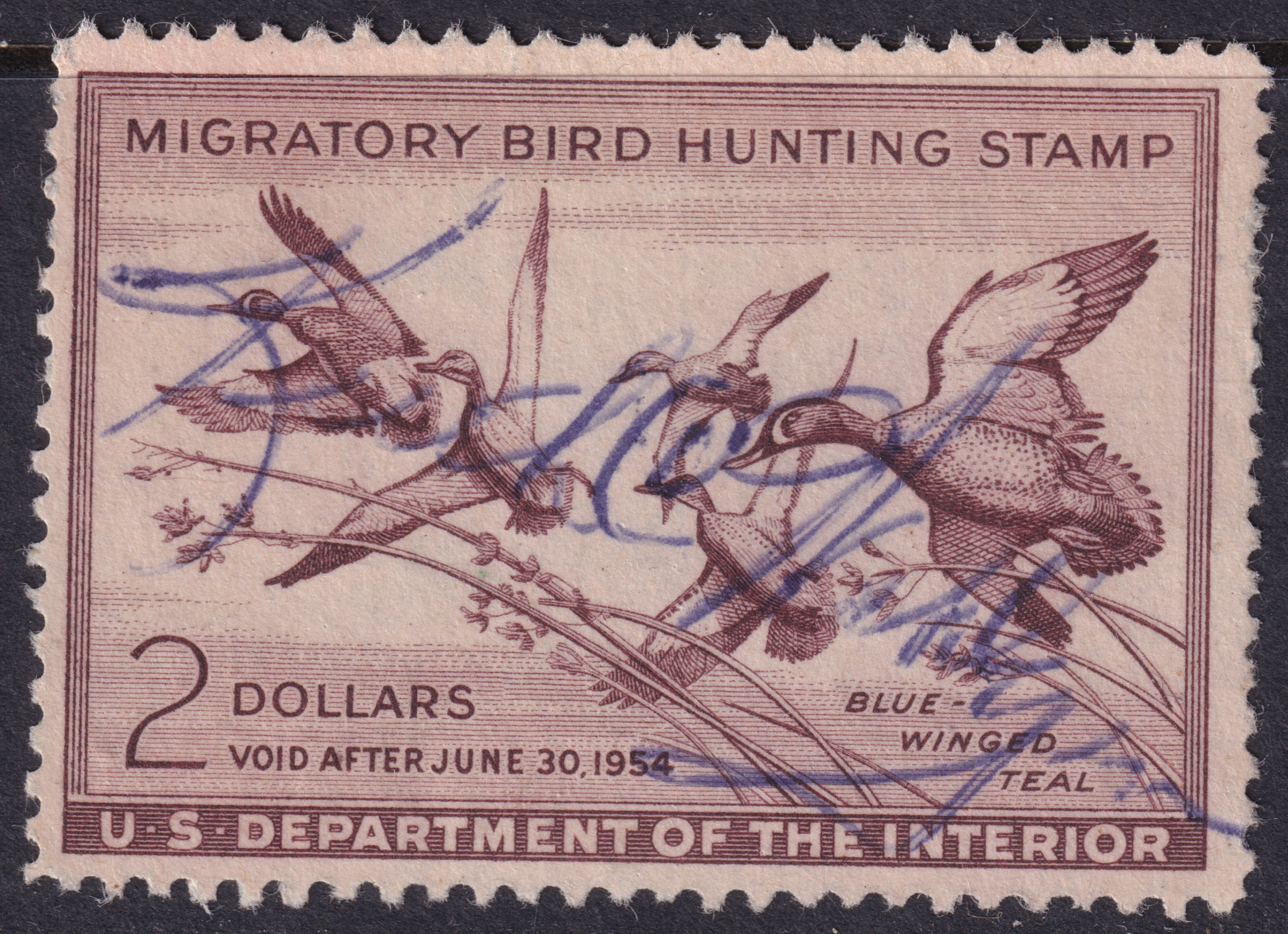 Stamp Picture