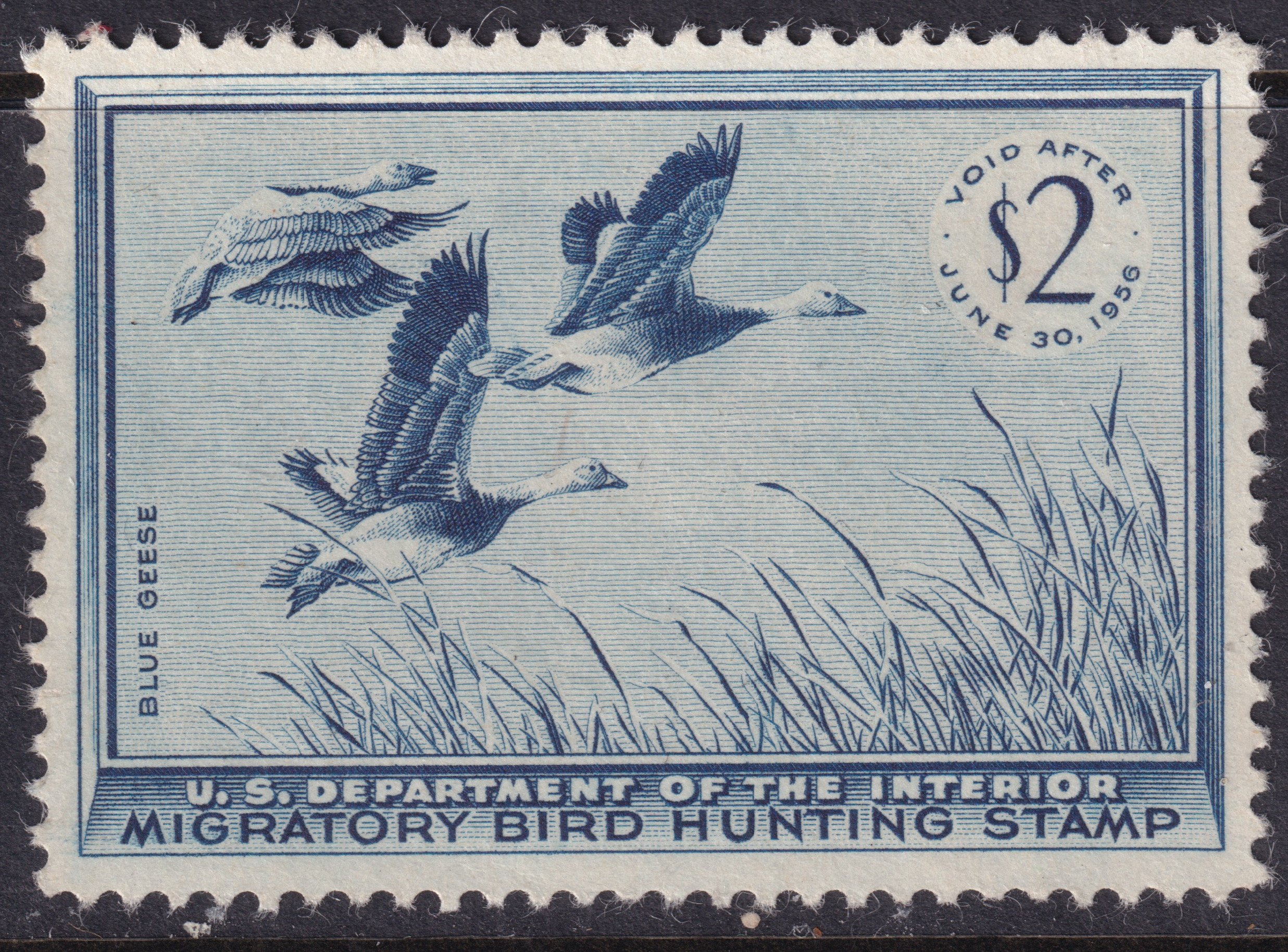 Stamp Picture