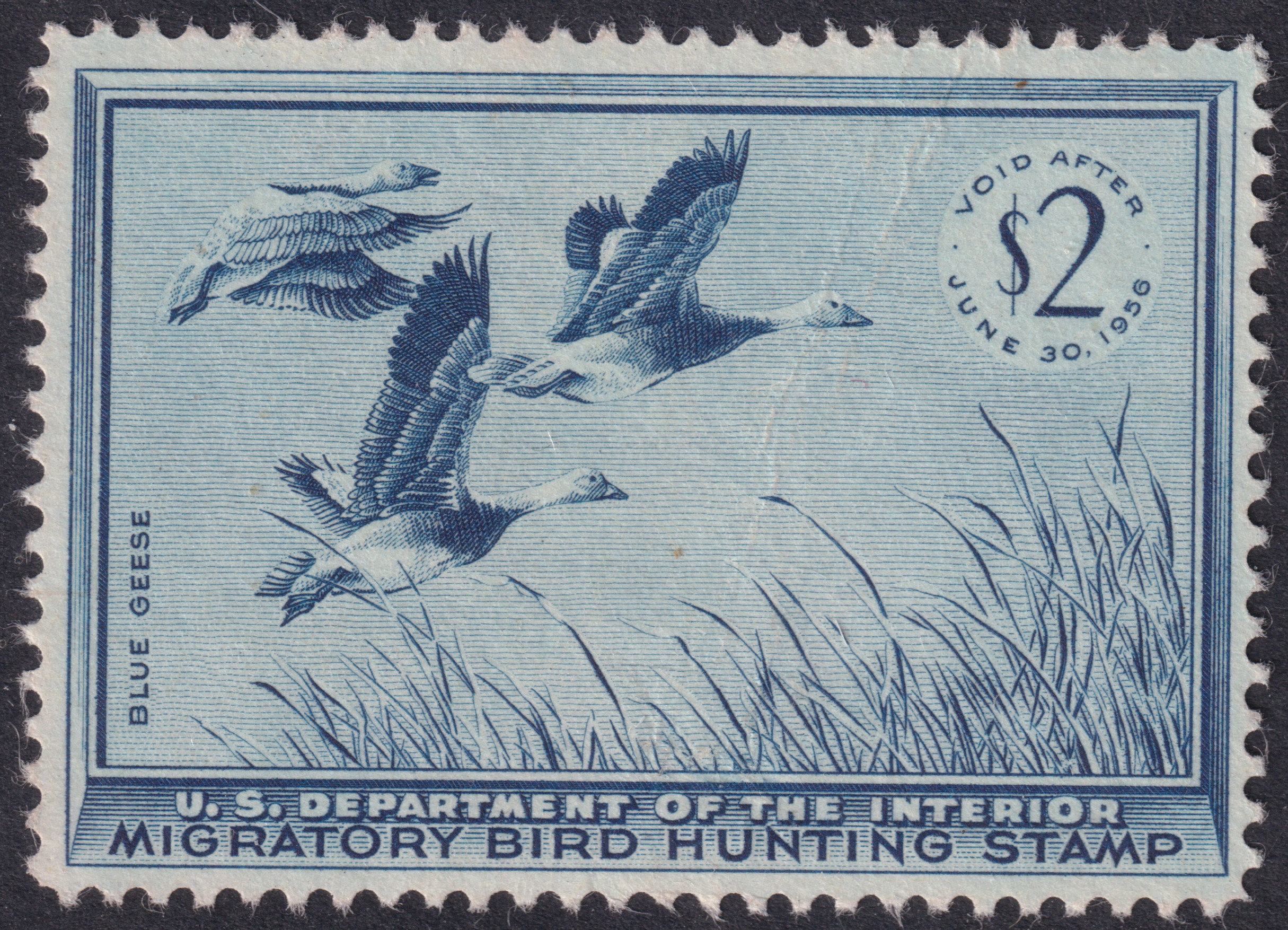 Stamp Picture
