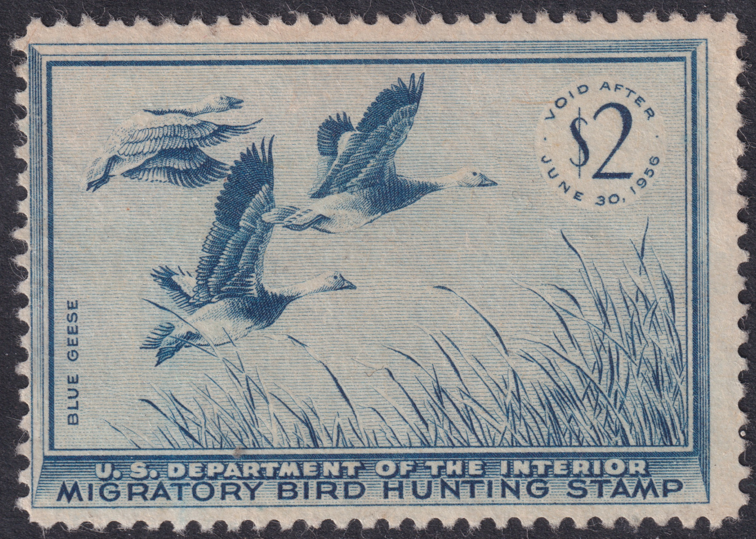 Stamp Picture
