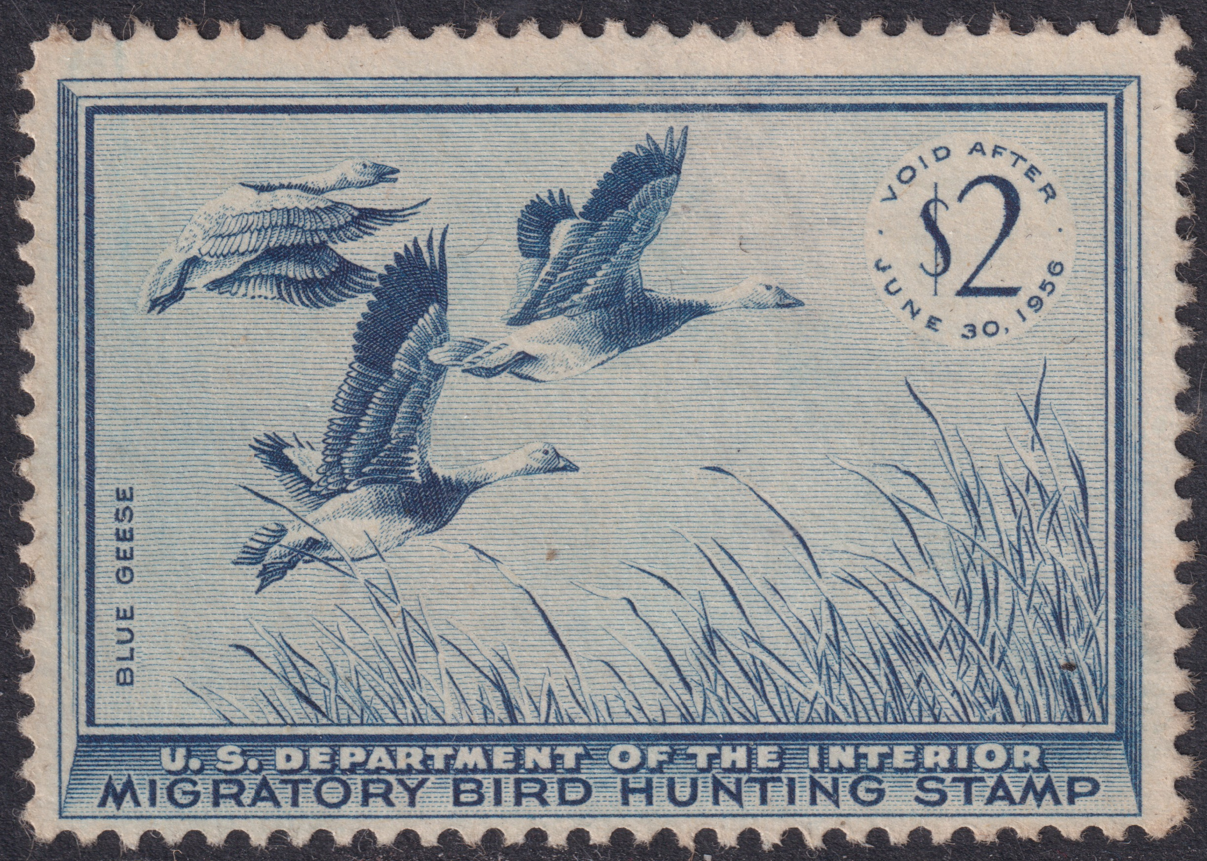 Stamp Picture