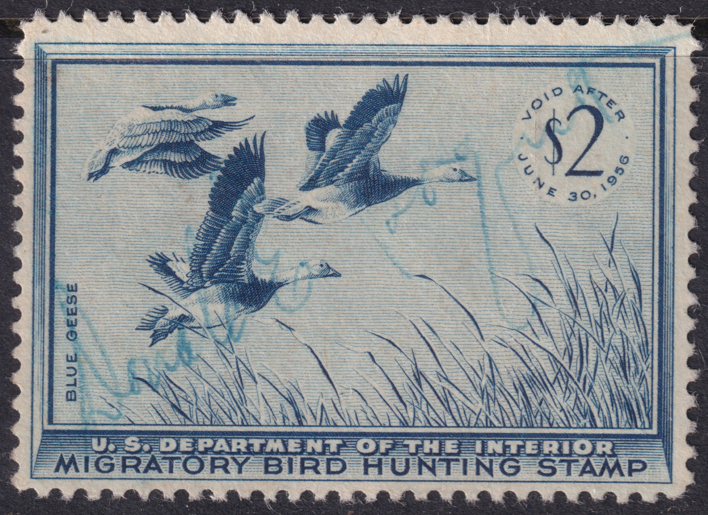 Stamp Picture